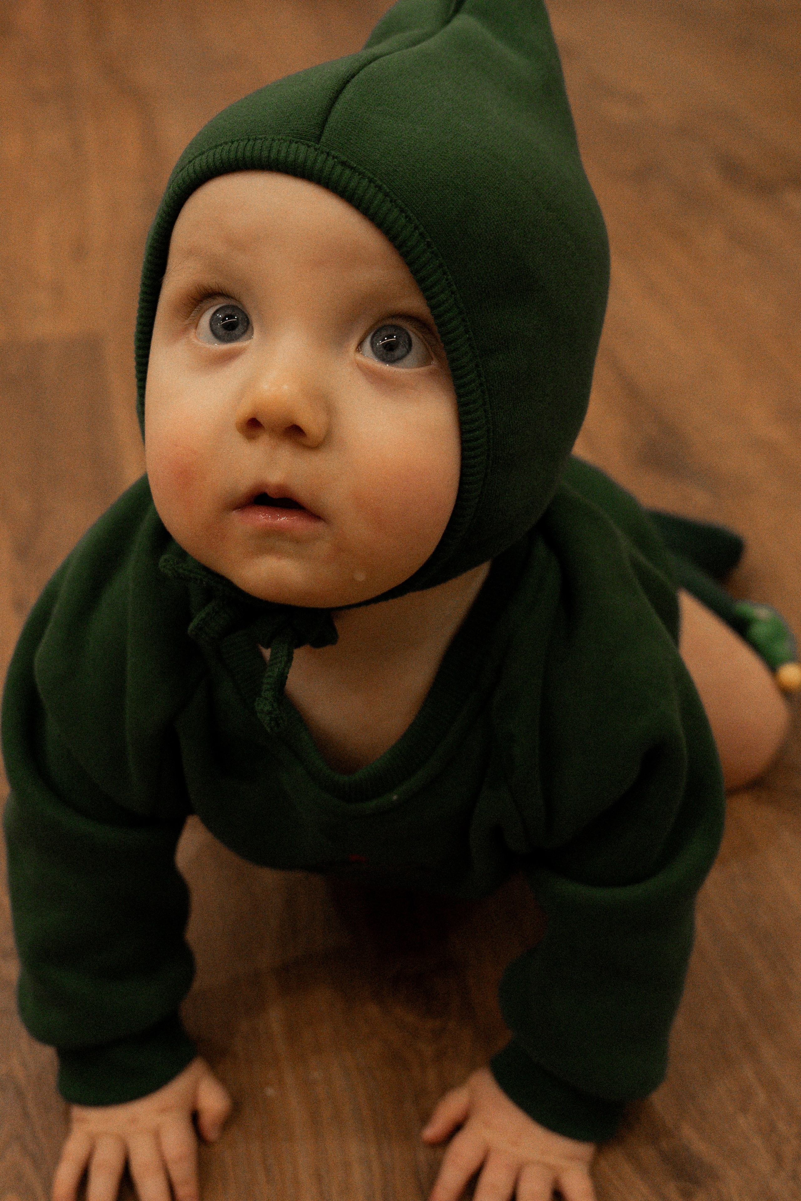 Новогодние тройняшки. Главная