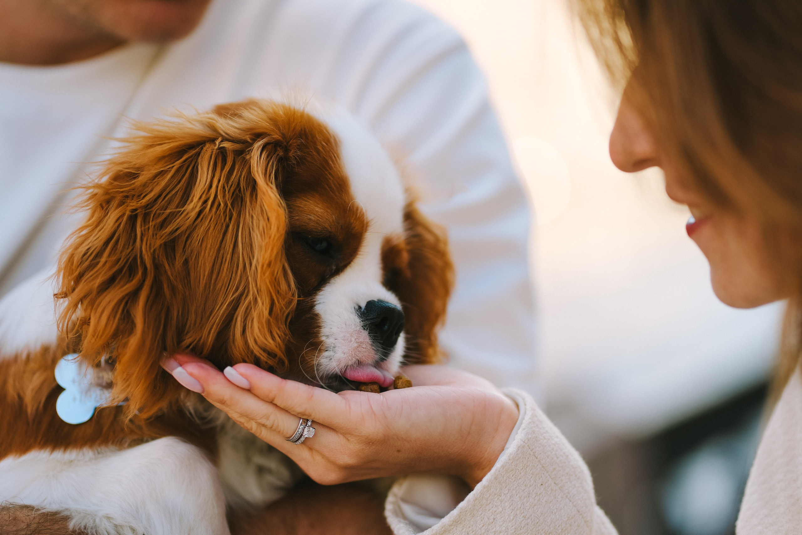 Аня и Влад. Фотограф г. Санкт-Петербург Александра Катанакова