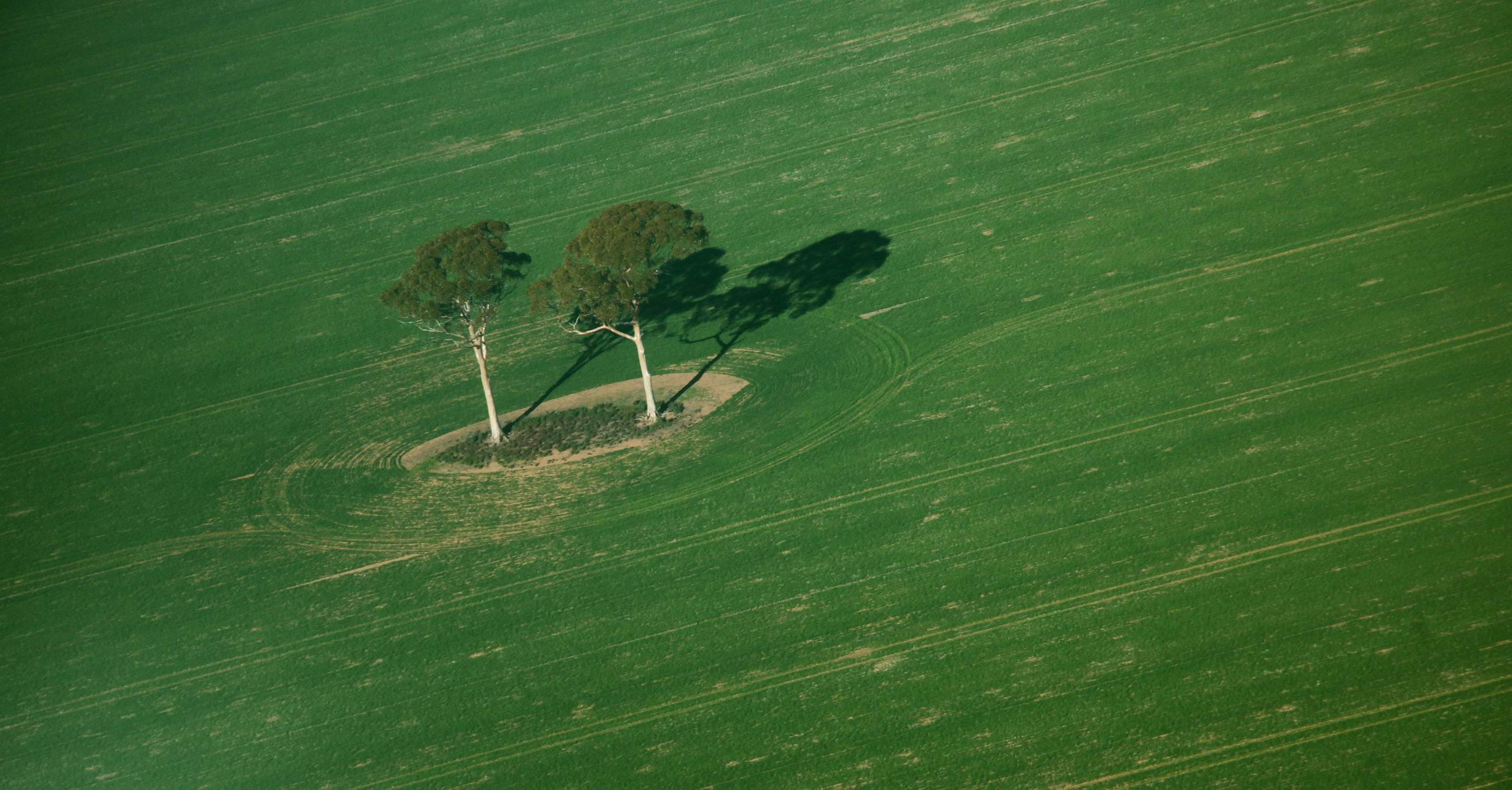 Видеосъемка