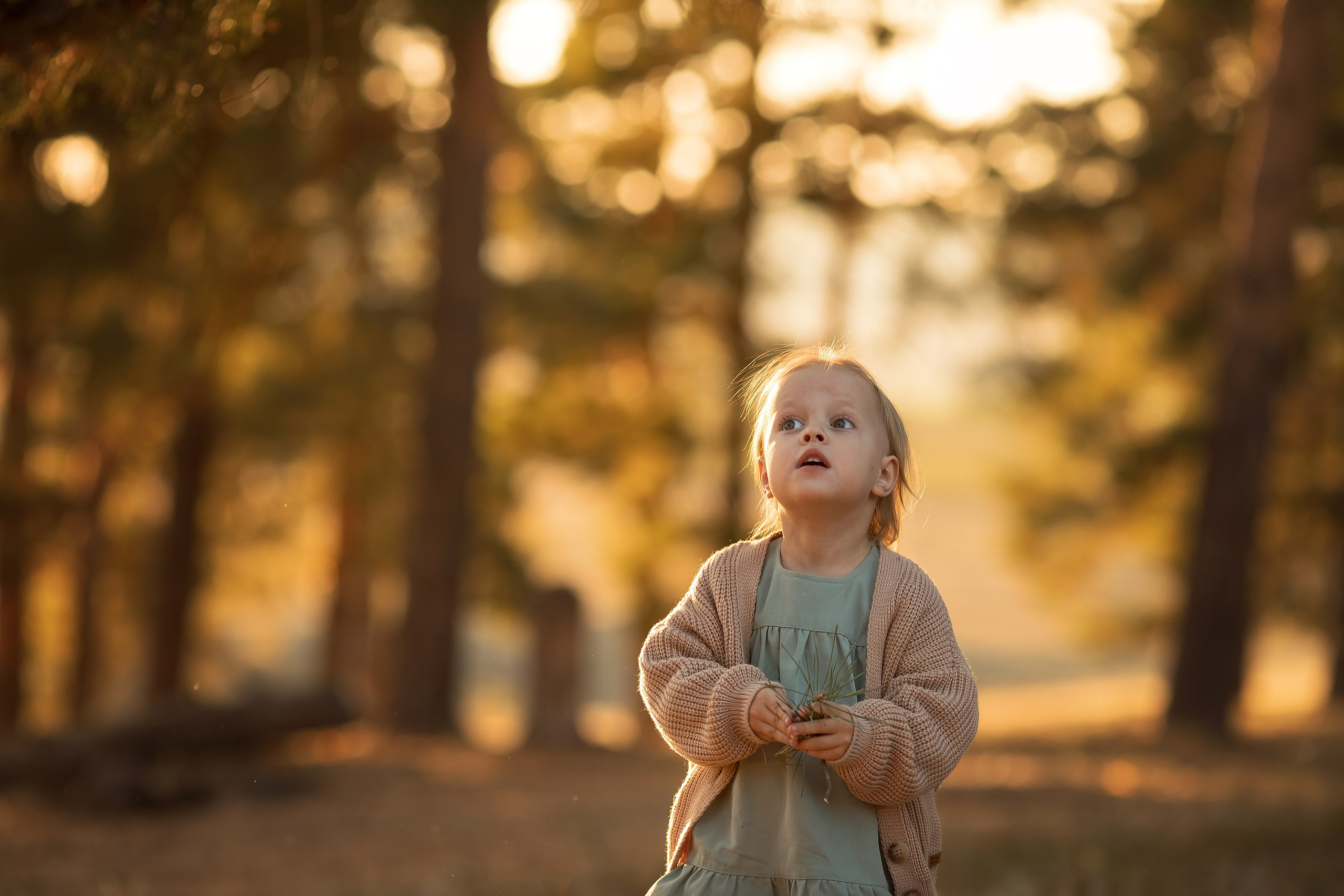 Лесная прогулка. Семейный и детский фотограф в Саратове Полина Коткина