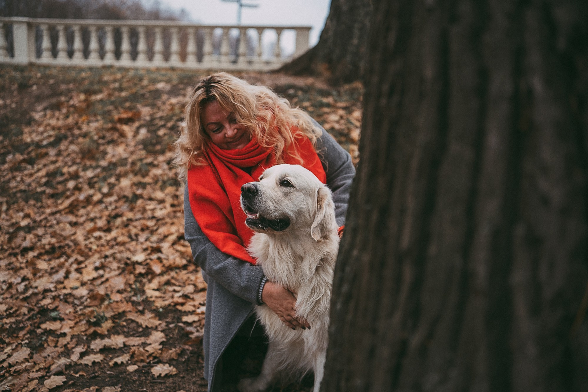 Лена и Мерлин. Фотограф анималист в Москве и Санкт-Петербурге Свиридова Анна