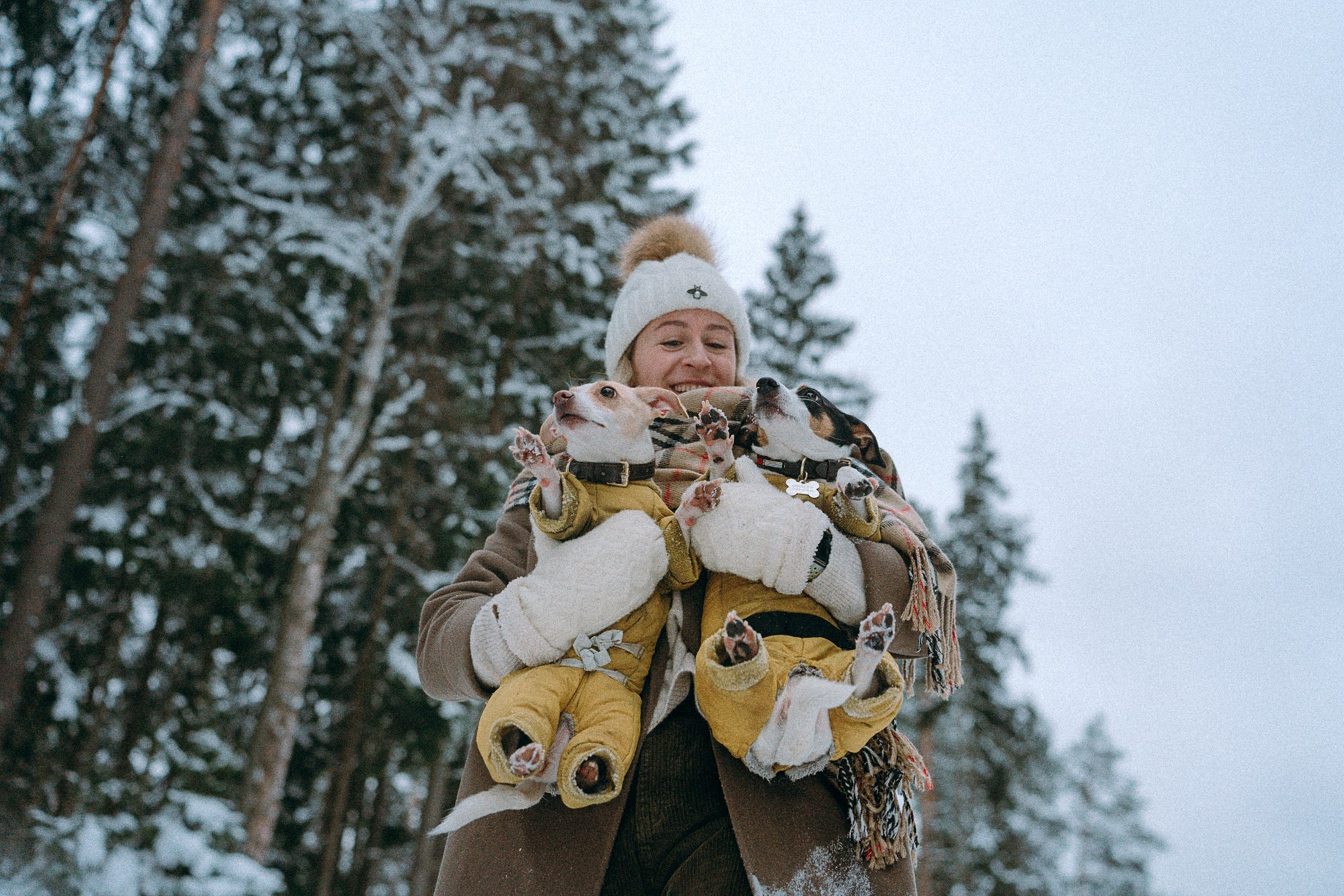 Алина, Ваниль и Элис. Фотограф анималист в Москве и Санкт-Петербурге Свиридова Анна