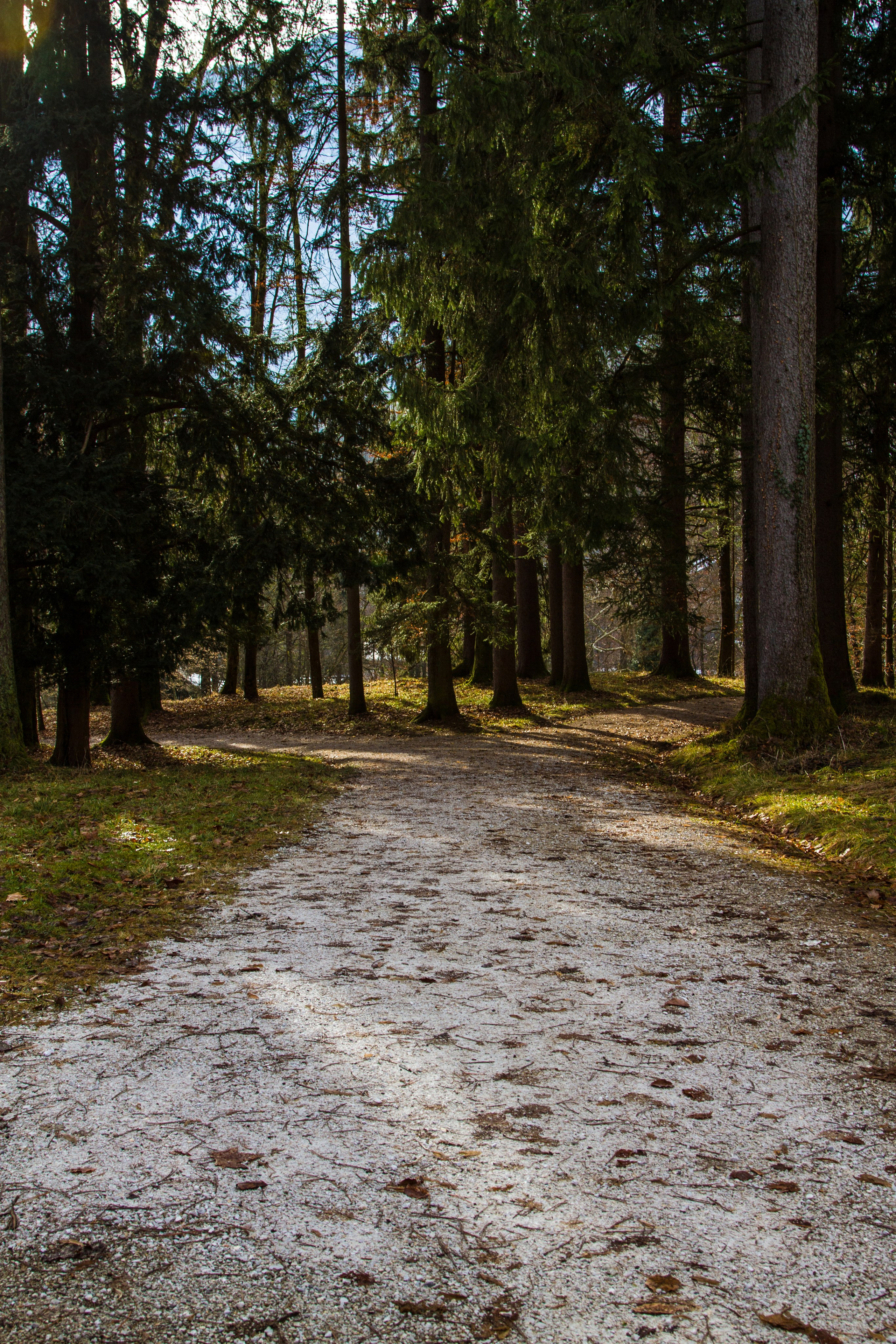 Австрия: Бад-Ишль. Дарья Письменюк / Darya Leitstern — фотограф, музыкант, журналист, путешественник