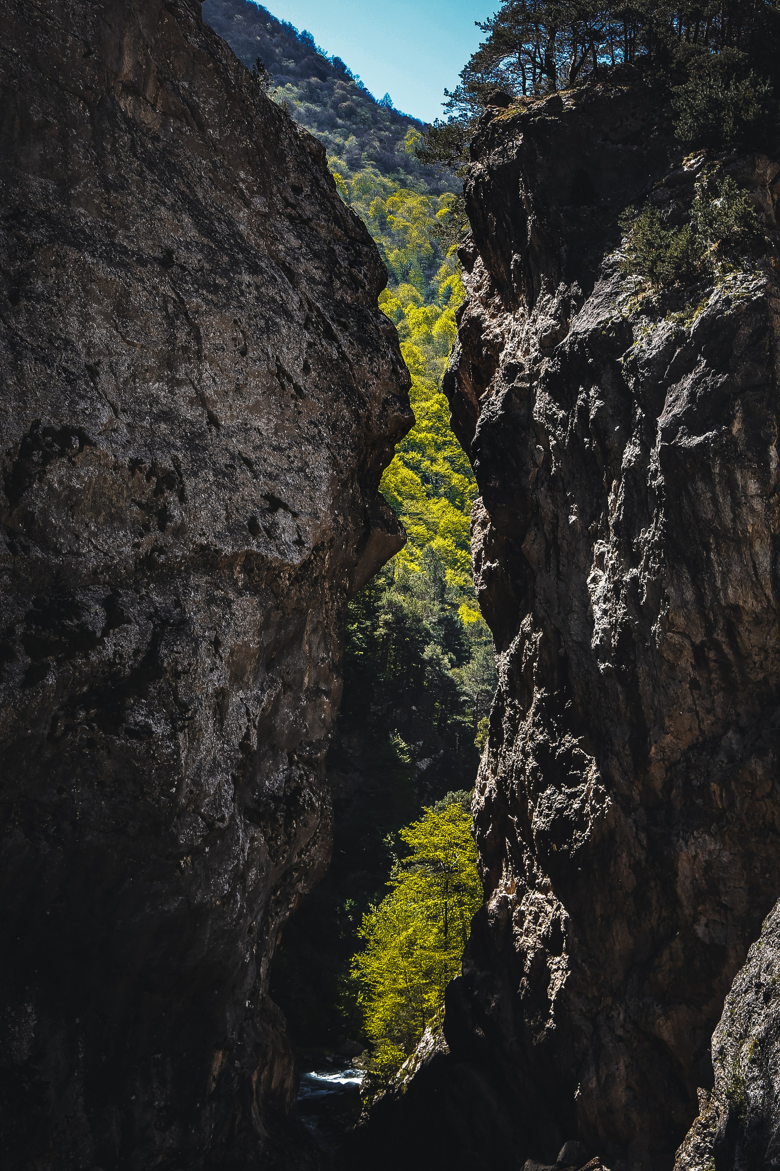 Кавказ: Северная Осетия. Дарья Письменюк / Darya Leitstern — фотограф, музыкант, журналист, путешественник