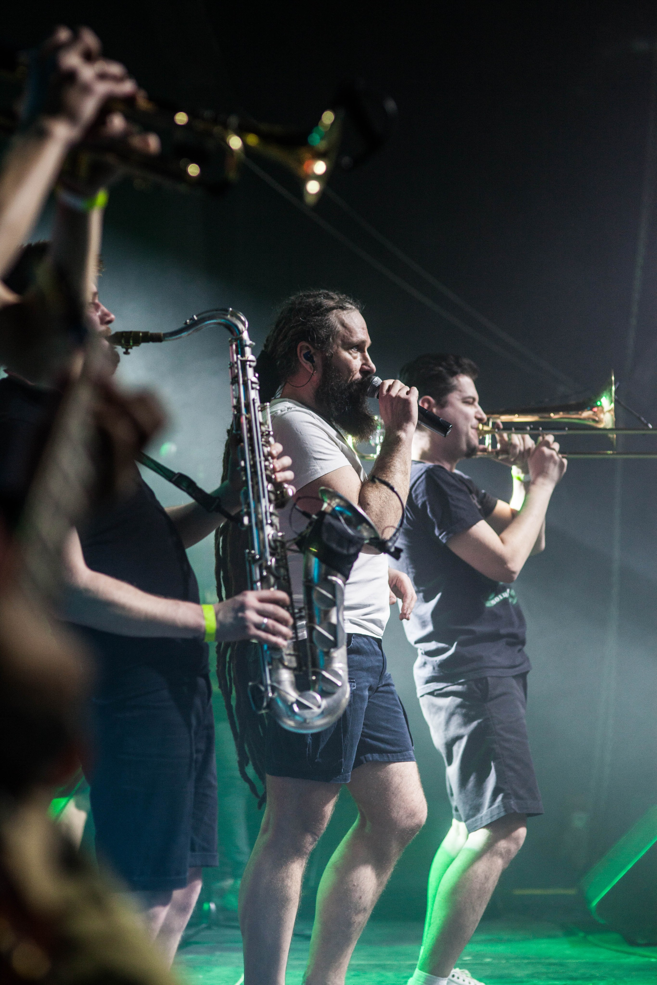 Distamper. Твой фотограф — Полосатый кот