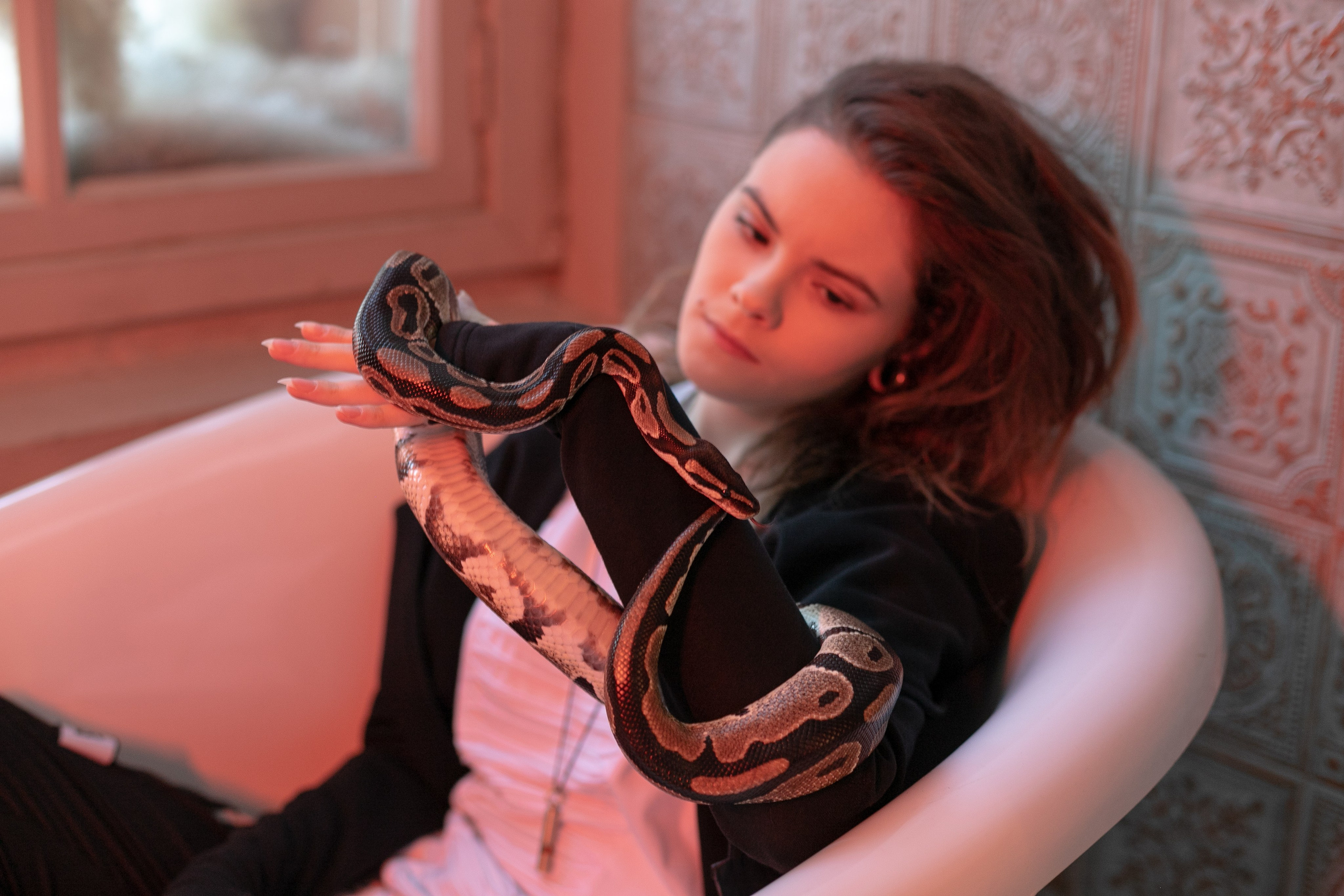 Портреты разные. Матвей Лебедев: фото и видео, сайты. Москва, Жуковский, Малаховка