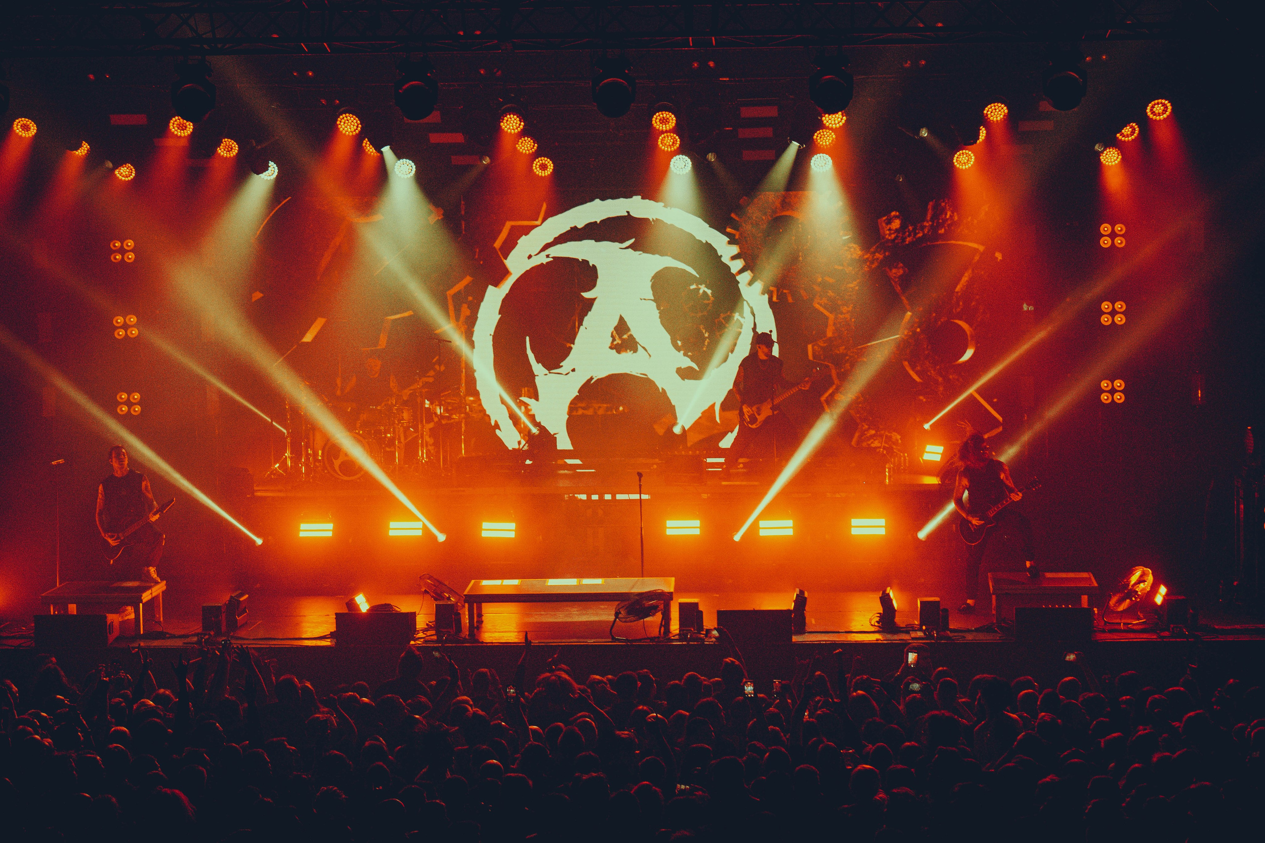 Amatory 22.11.2025. Фотограф Дядя Сник