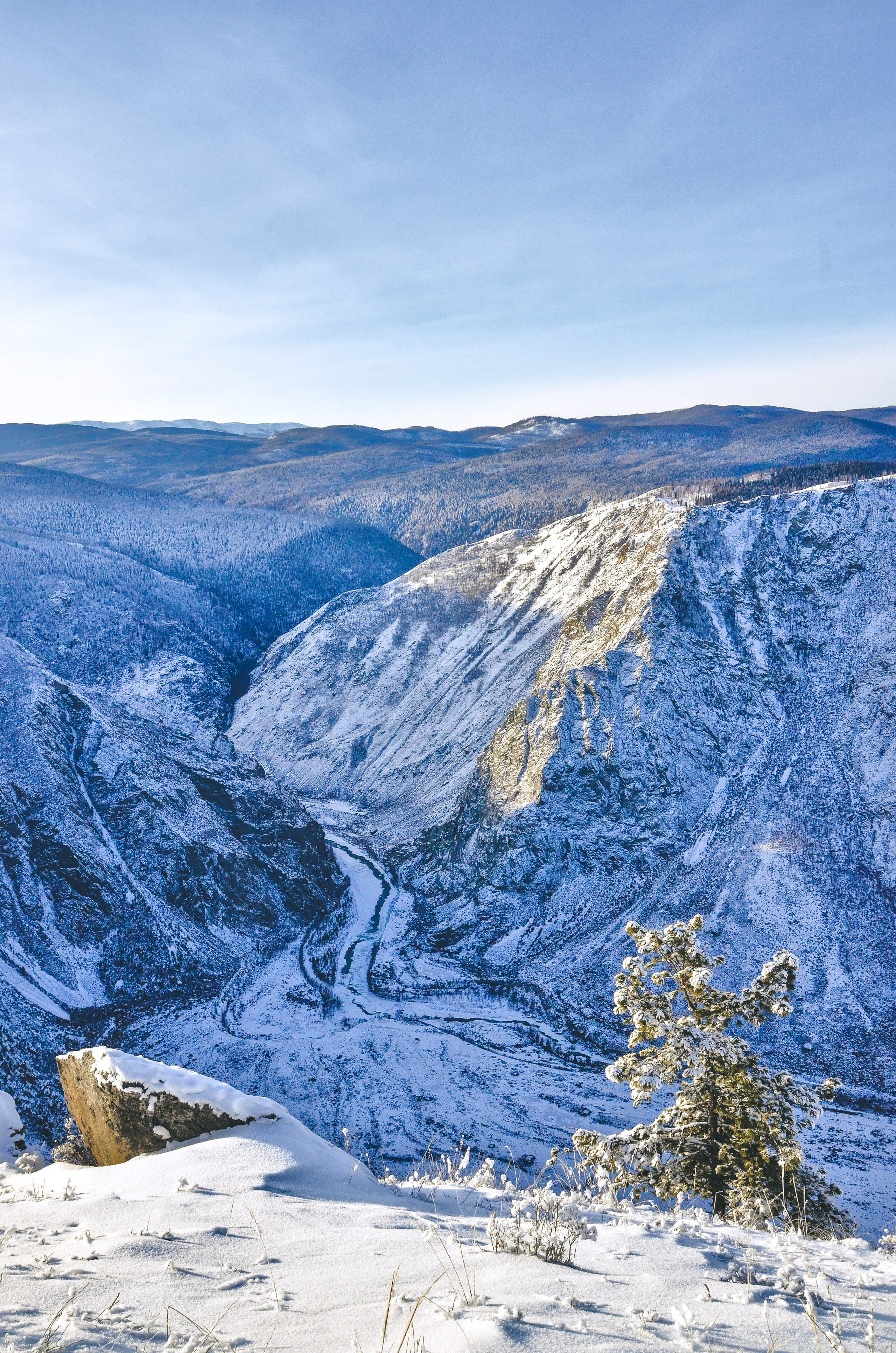 Алтай. Фотограф анималист, пейзажист, спортивные мероприятия. Новосибирск