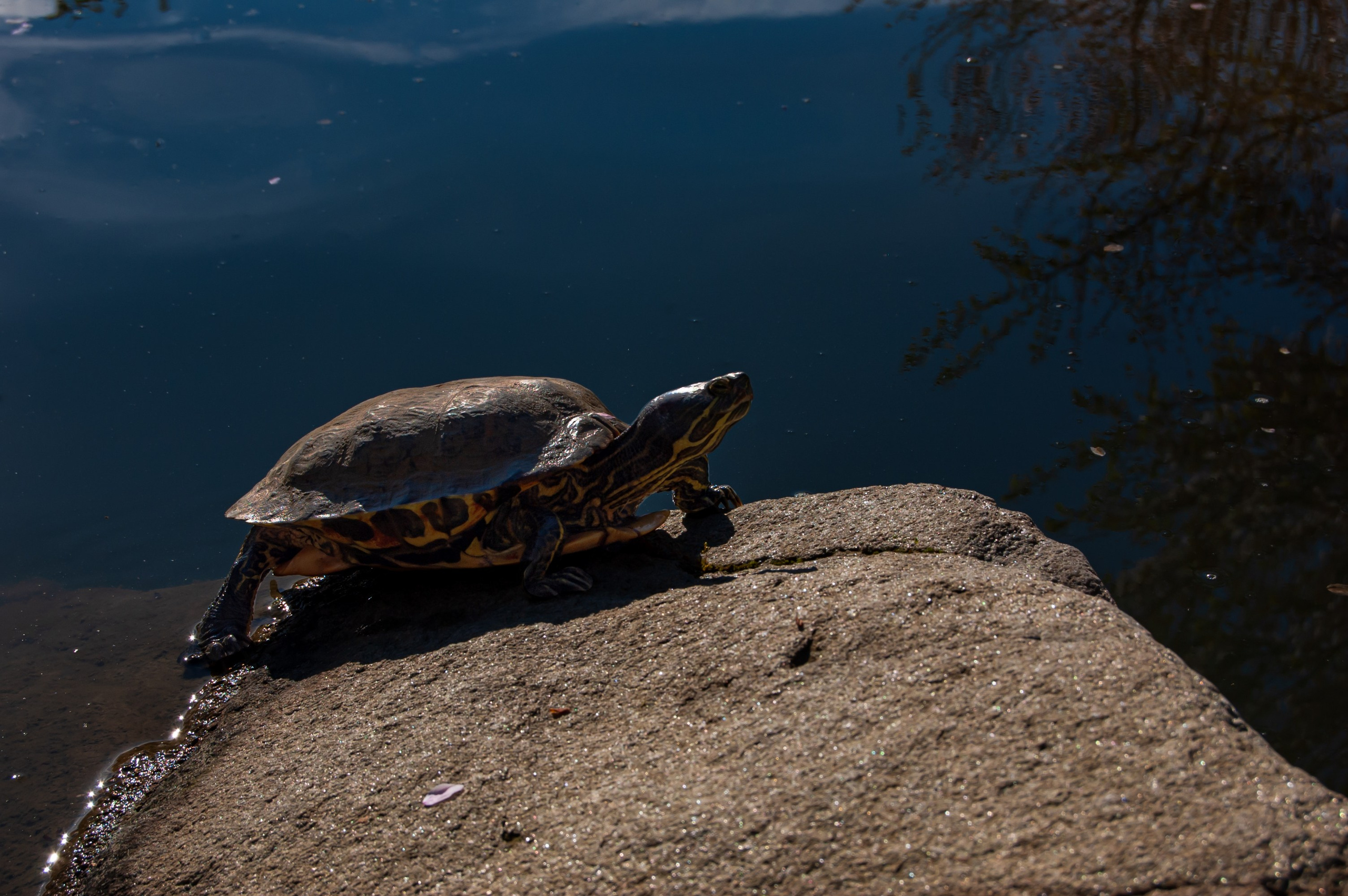Фотосессия в Краснодаре. Портретный фотограф в Краснодаре Слава Никитин