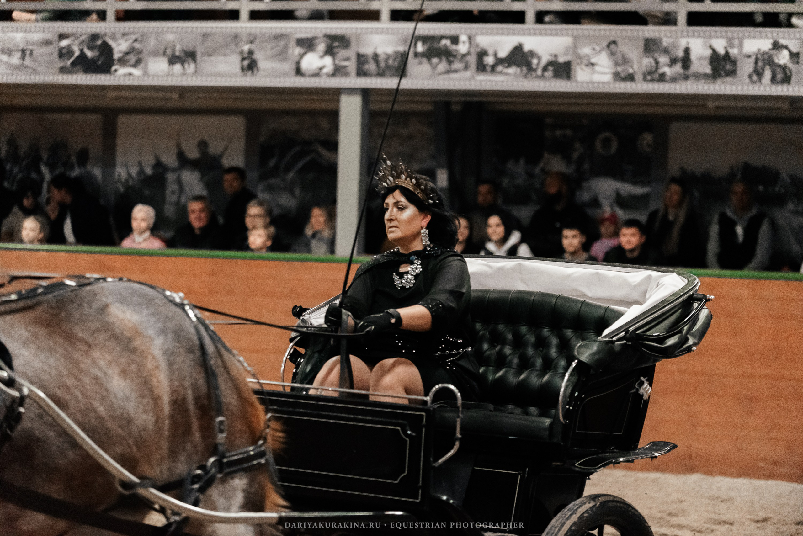 Конное представление «Дыхание Звёзд». Конный фотограф Куракина Дарья • Фотосессии с лошадьми