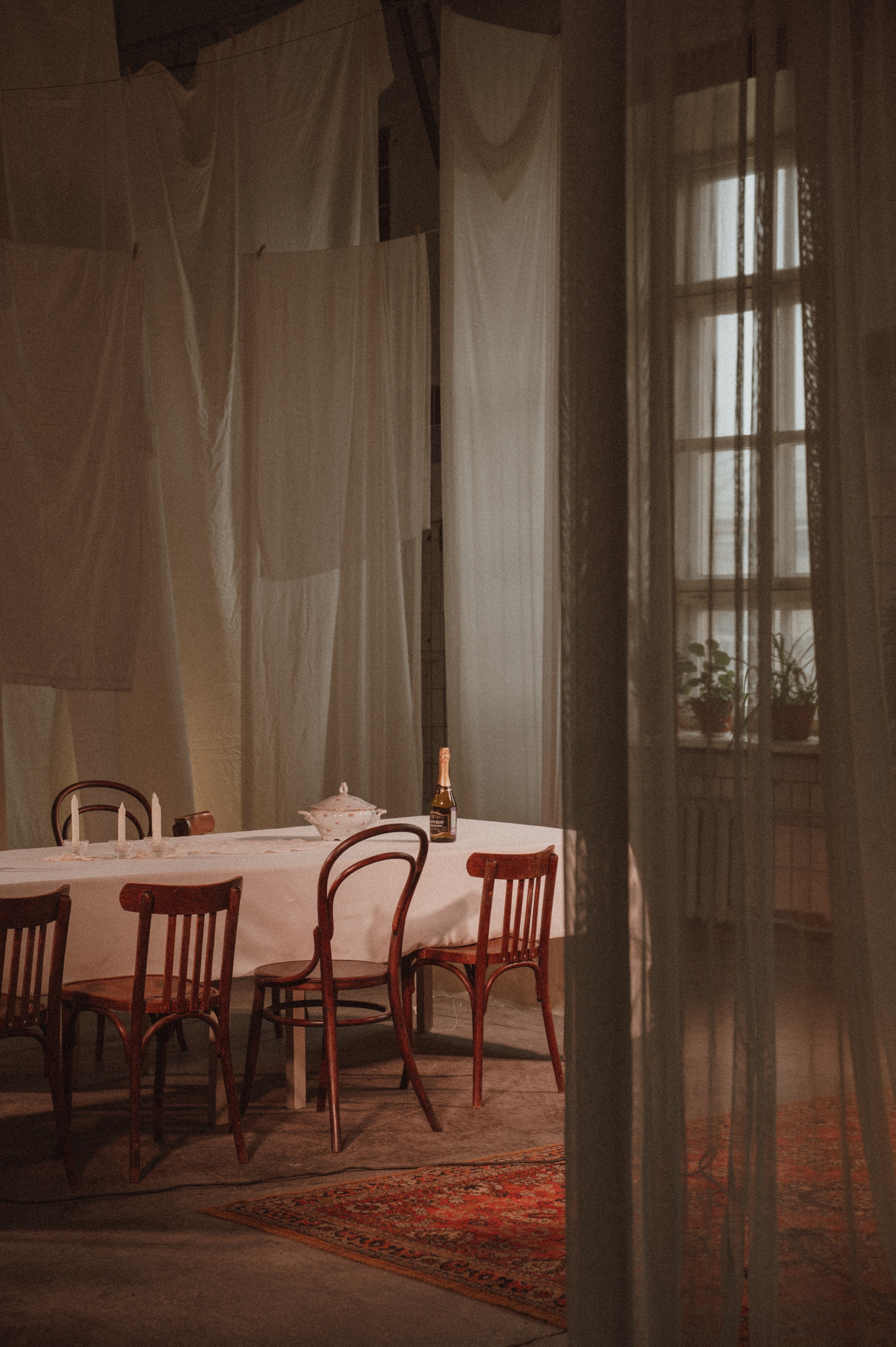 Цветы на подоконнике. Свадебный фотограф в Рязани Дзюрак Елизавета