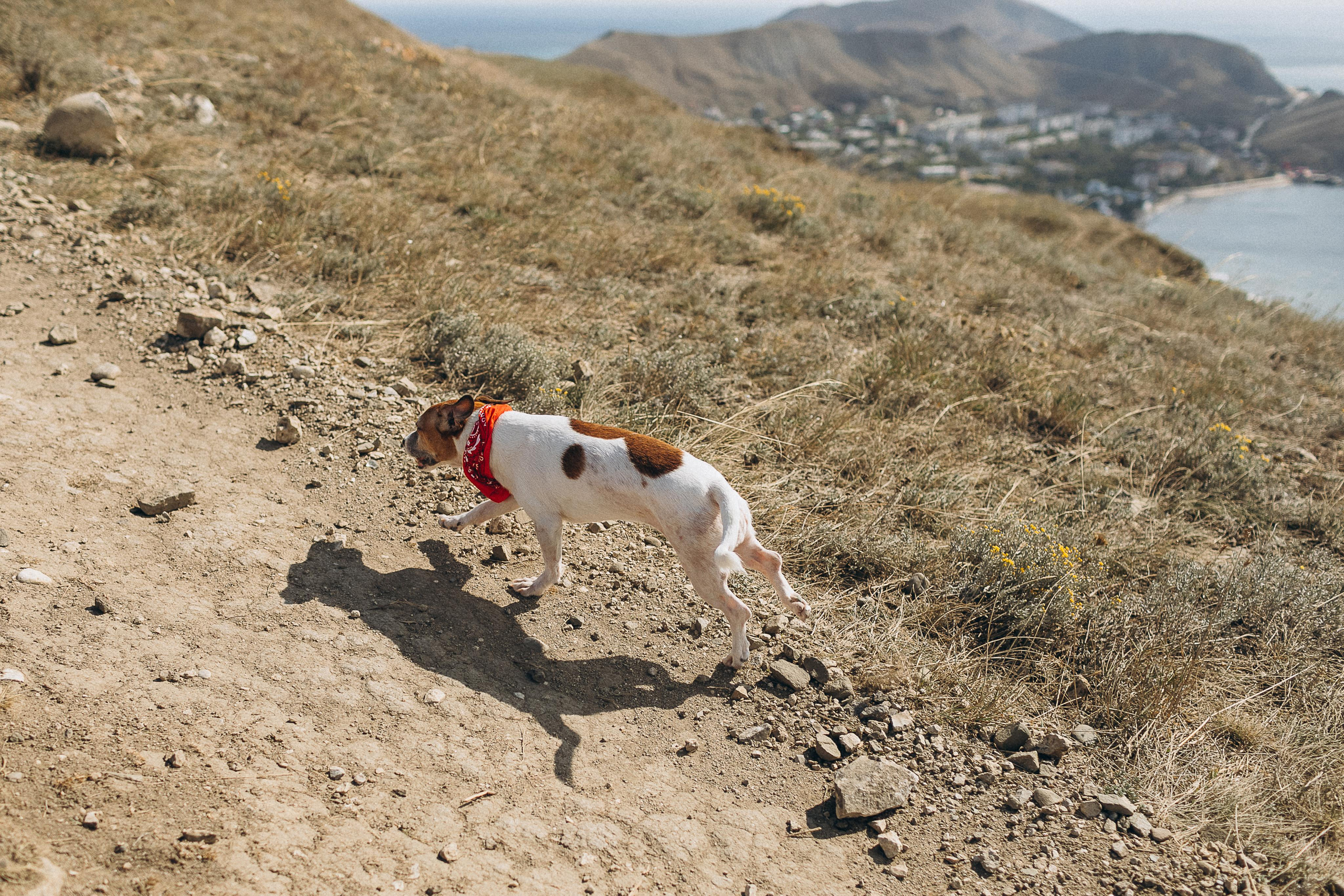 Семейная съемка в Крыму. Крым фото, отдых Крым, Севастополь фото, Свадьба фото, Олег Горбатко