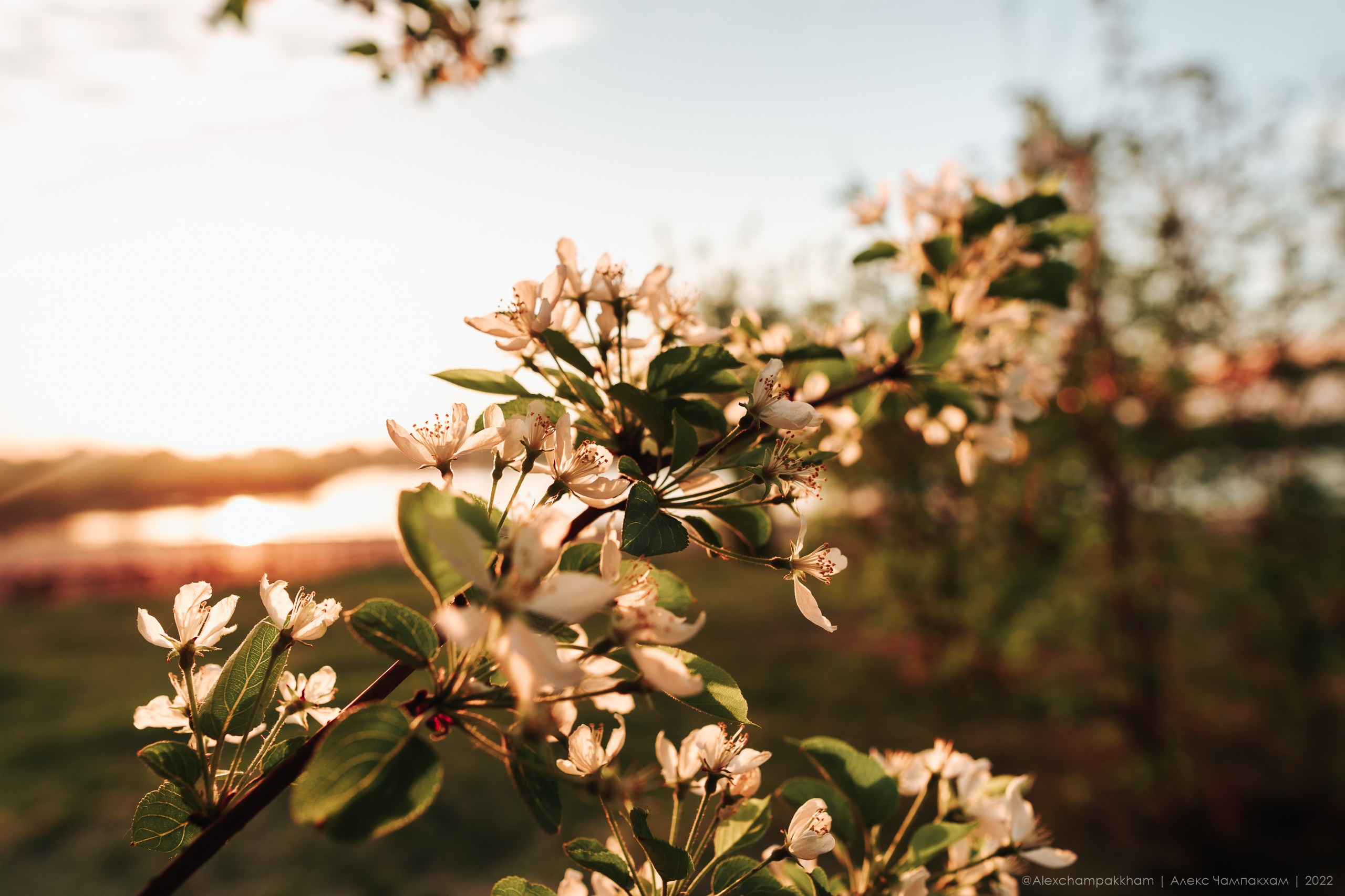 Репортажный фотограф Красноярск Алекс Чампакхам
