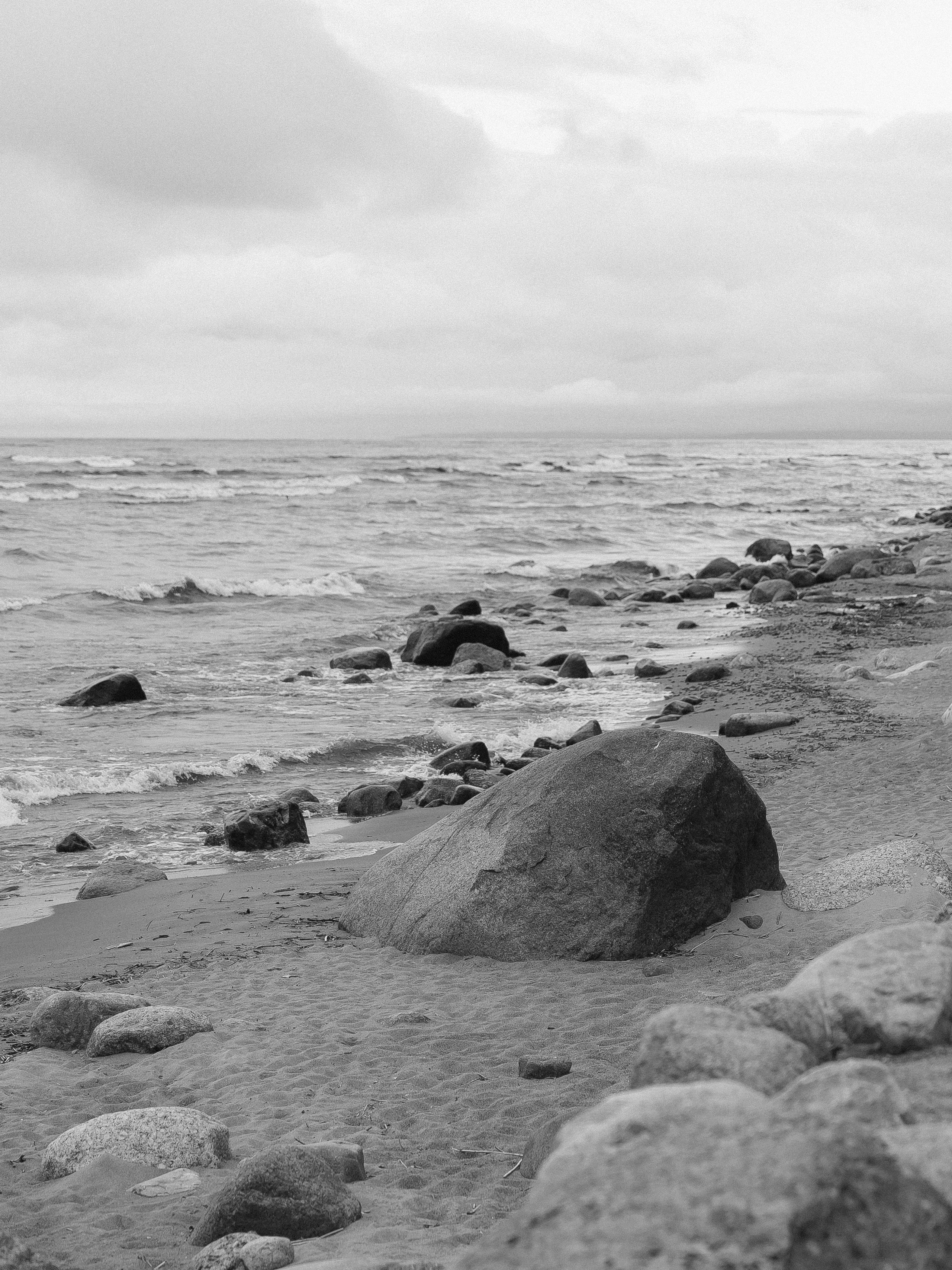 Павел и Анастасия. Свадебное агентство Amorewed Agency