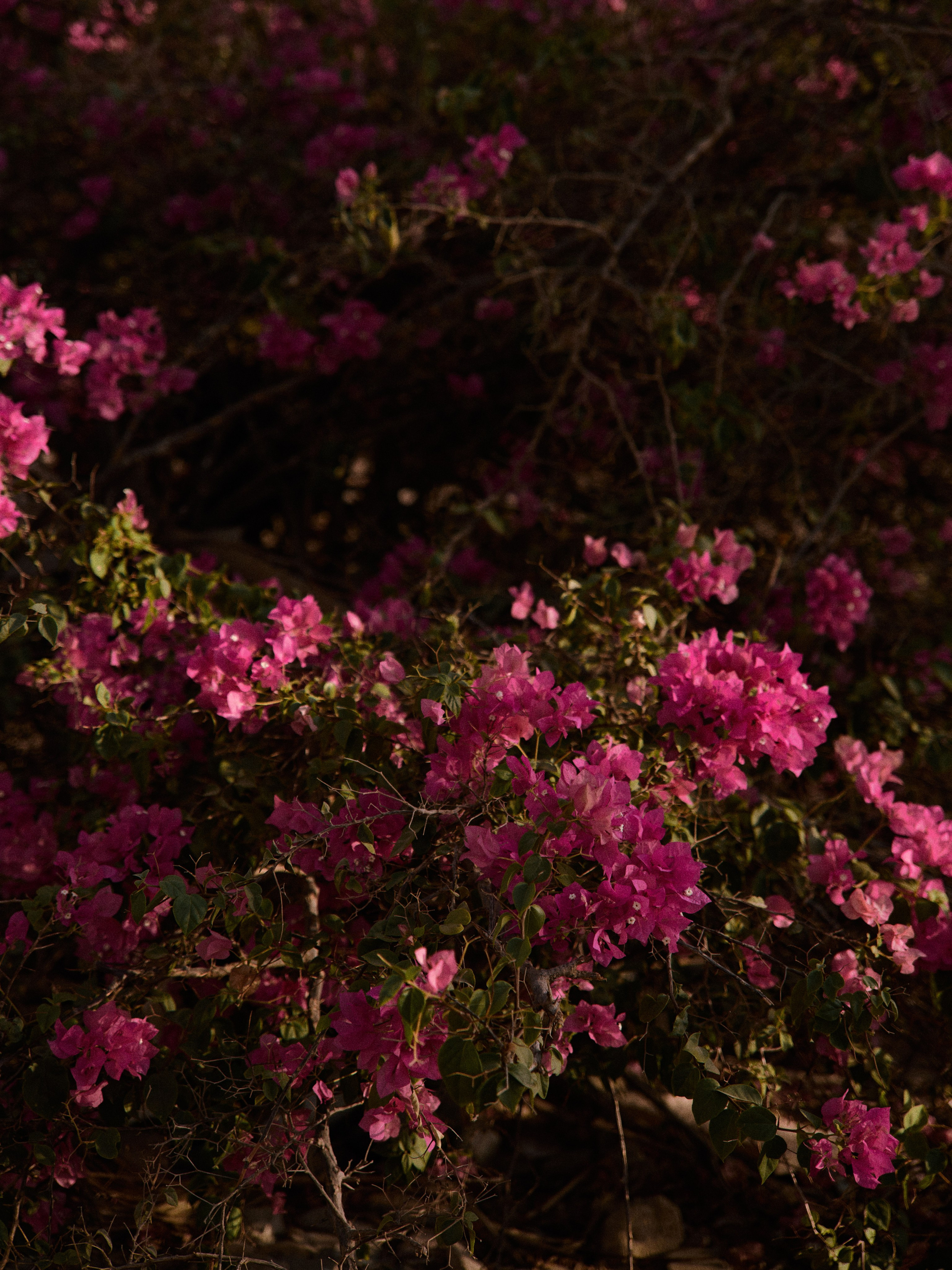 Природа. Jorgis Talè — photographer, kind person, teacher of arts and other mag