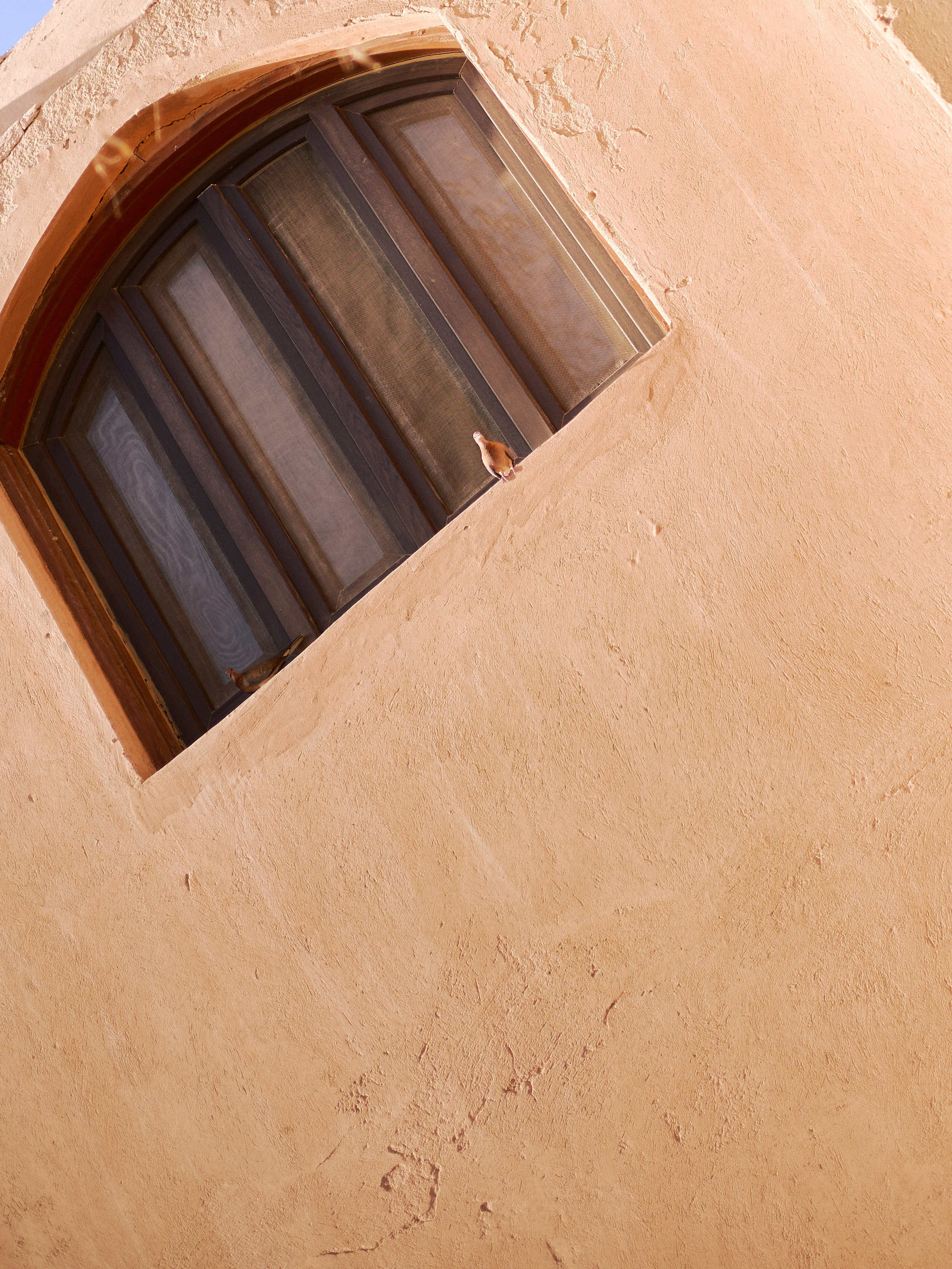 Другое 2. Jorgis Talè — photographer, kind person, teacher of arts and other mag