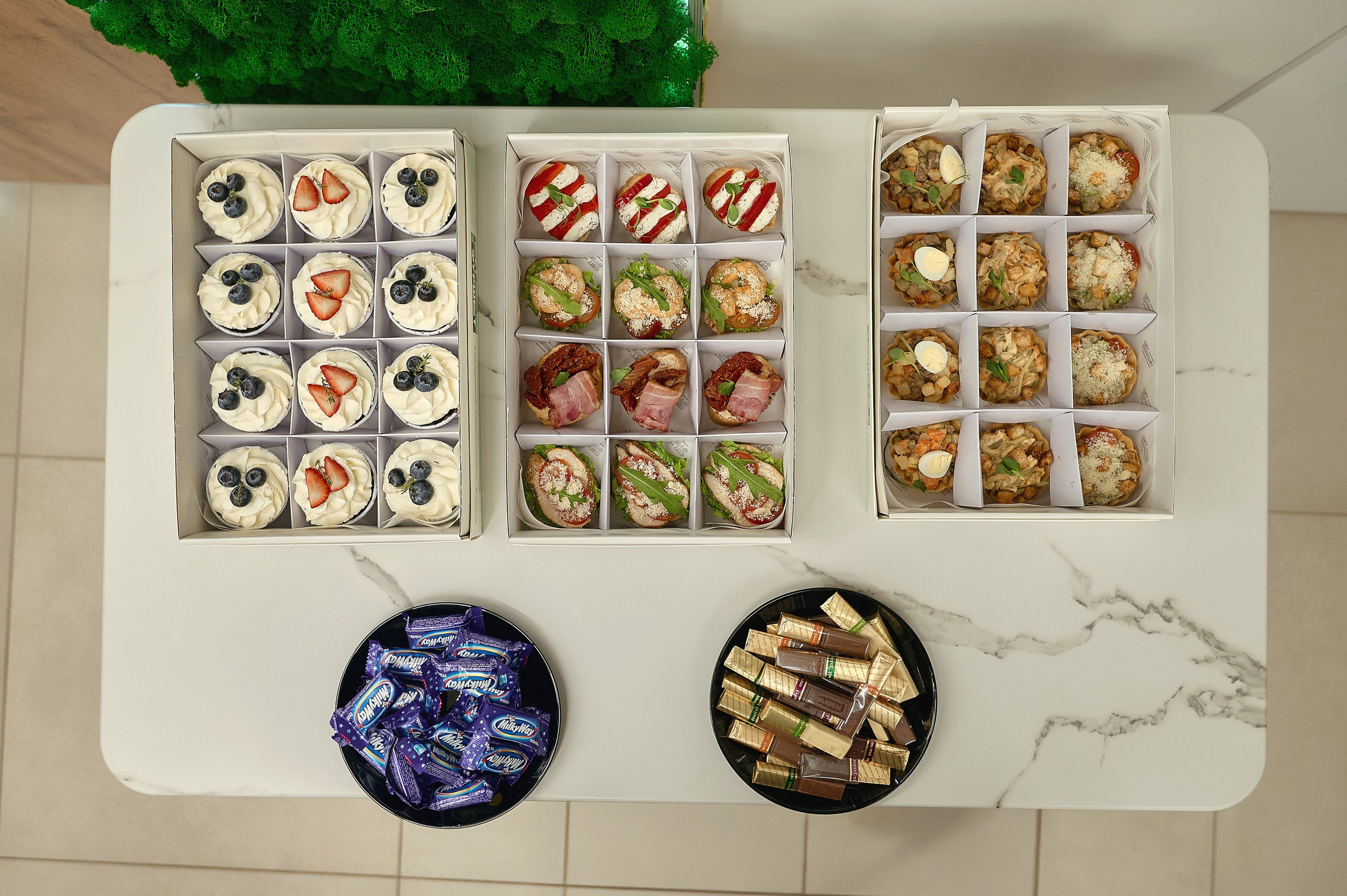 Открытие стоматологической клиники «Green Clinic». Фотограф Яковлев Роман — Красноярск