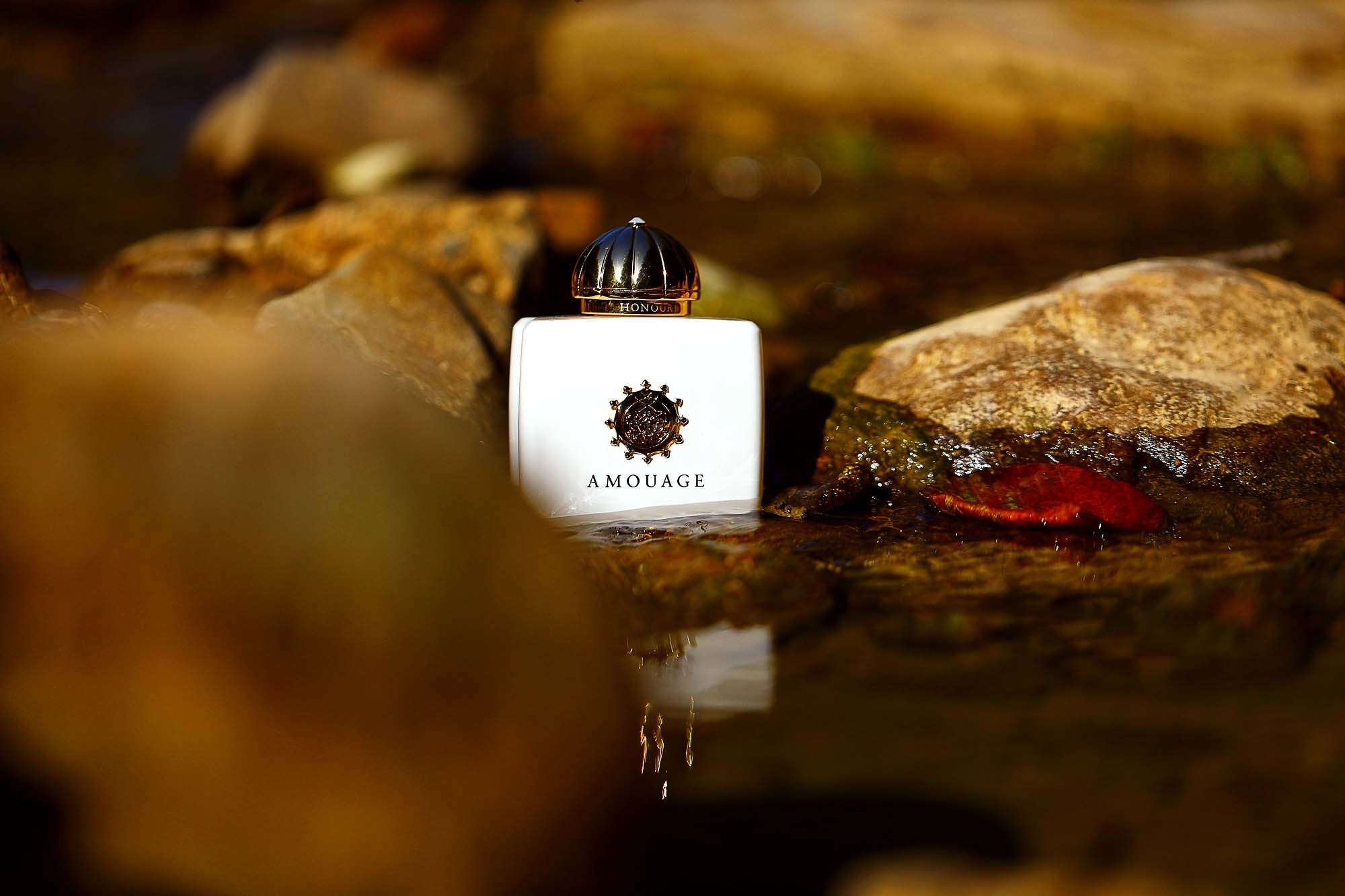 Бизнес-контент. Фотограф Сочи. Фотосессии, фотокниги, обучение фотографии