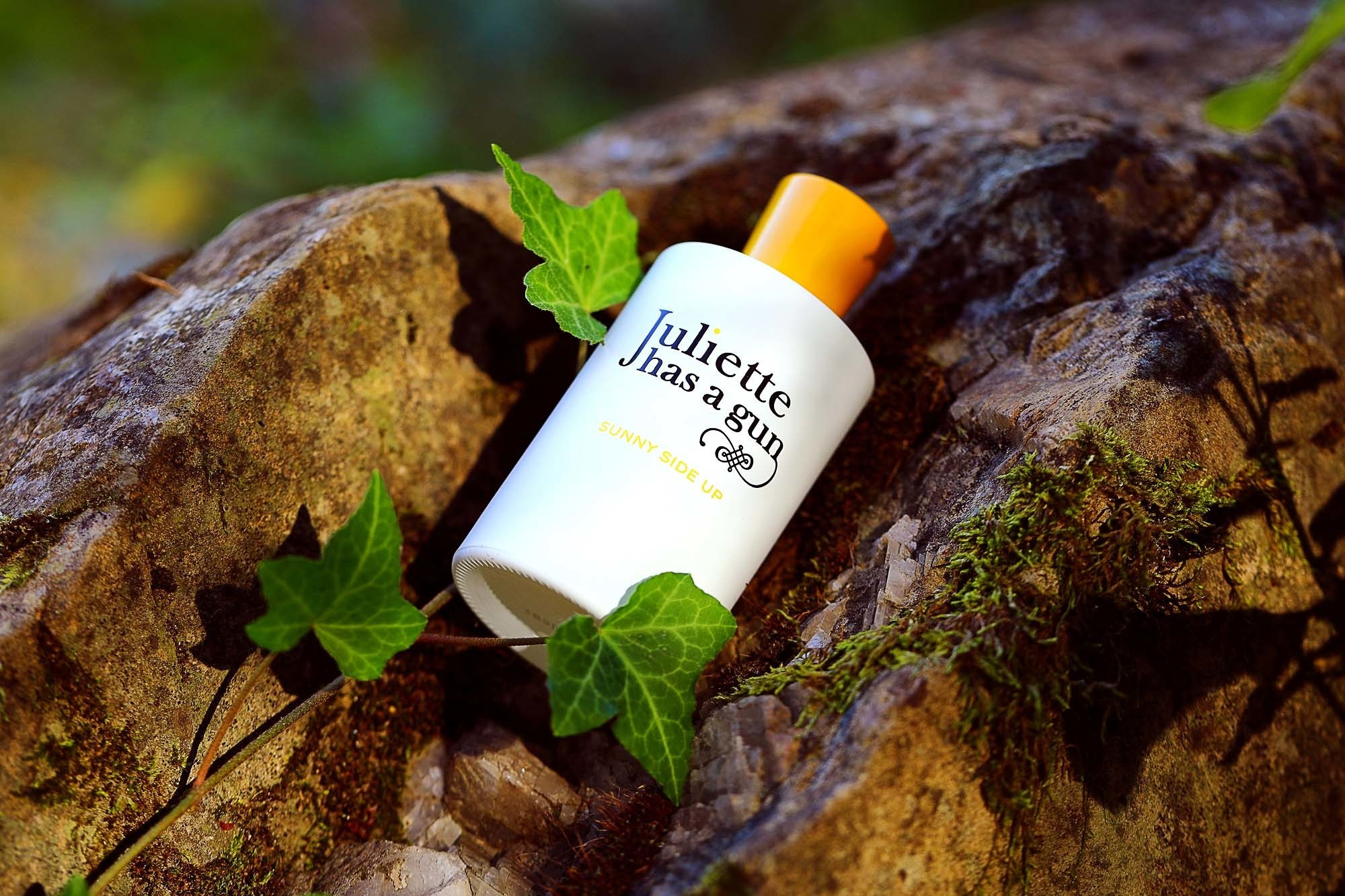 Бизнес-контент. Фотограф Сочи. Фотосессии, фотокниги, обучение фотографии