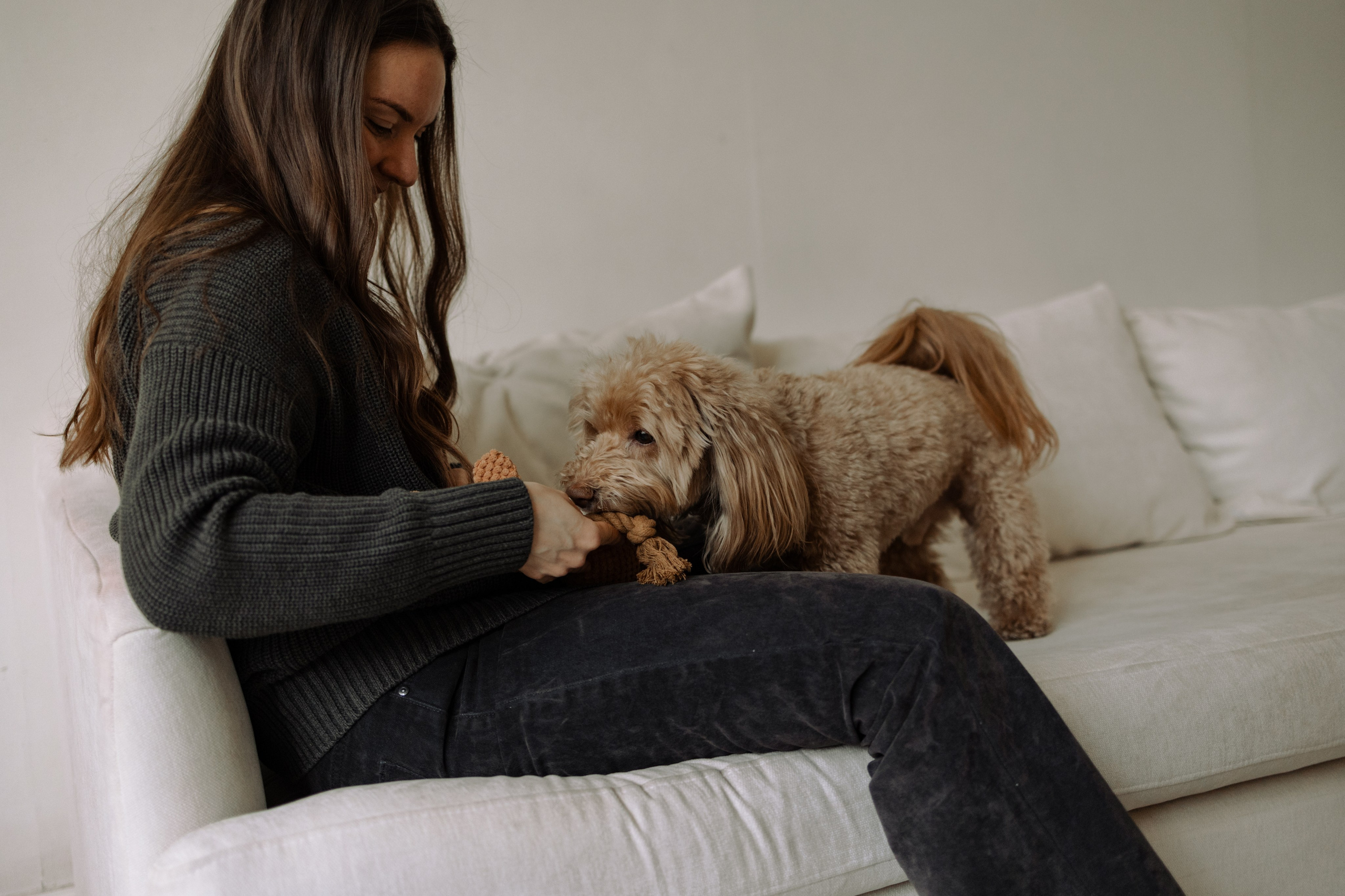 Шкипер и его семья. Фотограф — Анималист | Санкт-Петербург