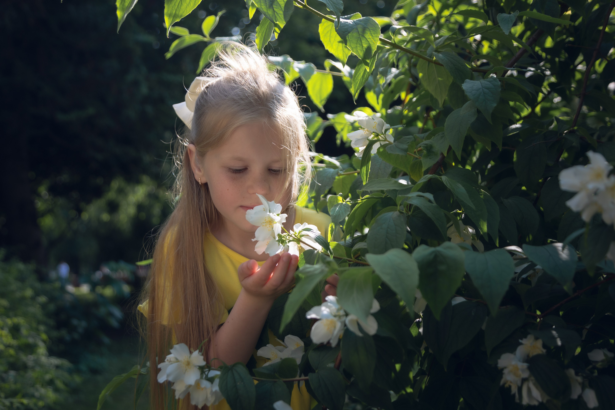 Фотосессия девочки в желтом платье г. Калнинград. Свадебный и репортажный фотограф в Москве и Московской области