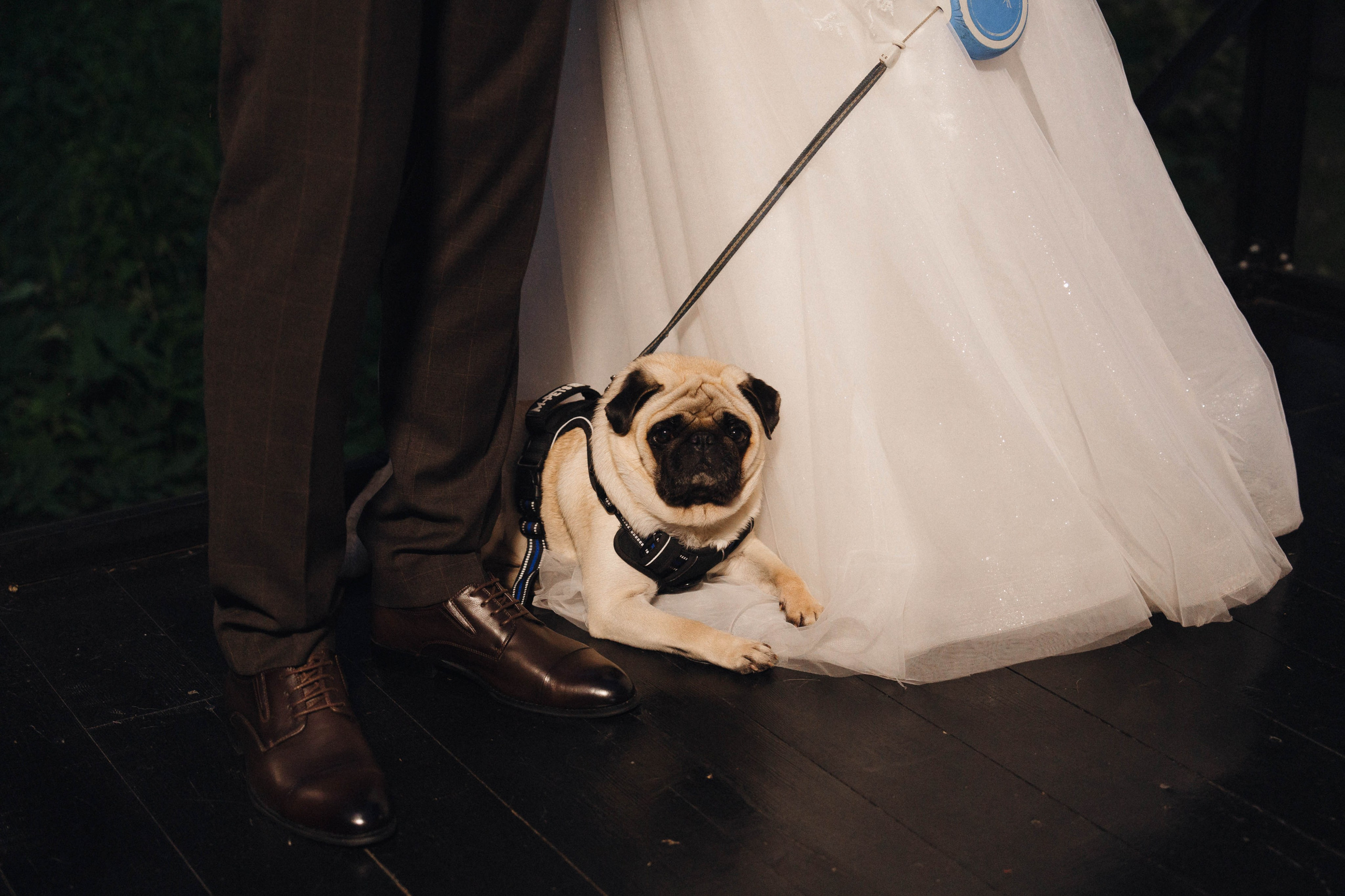 Евгений и Александра. Фотограф/ видеограф Катя Ильина Калуга