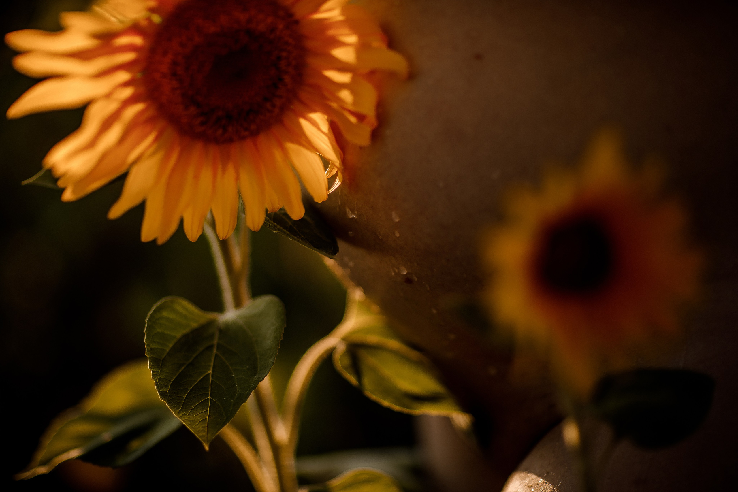 Беременность. Фотограф материнства и таинства кормления Екатерина Кузьмин