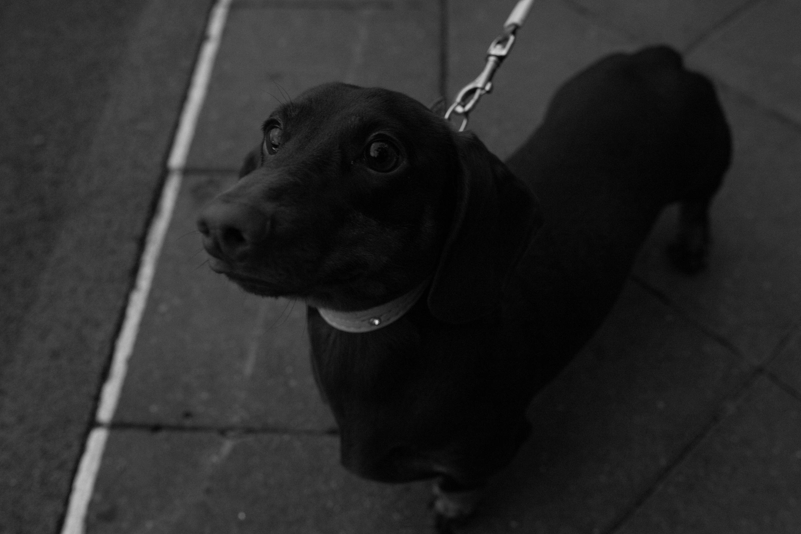 Тренировка сквозь призму чб. Александра Мельниченко/ Бегающий фотограф