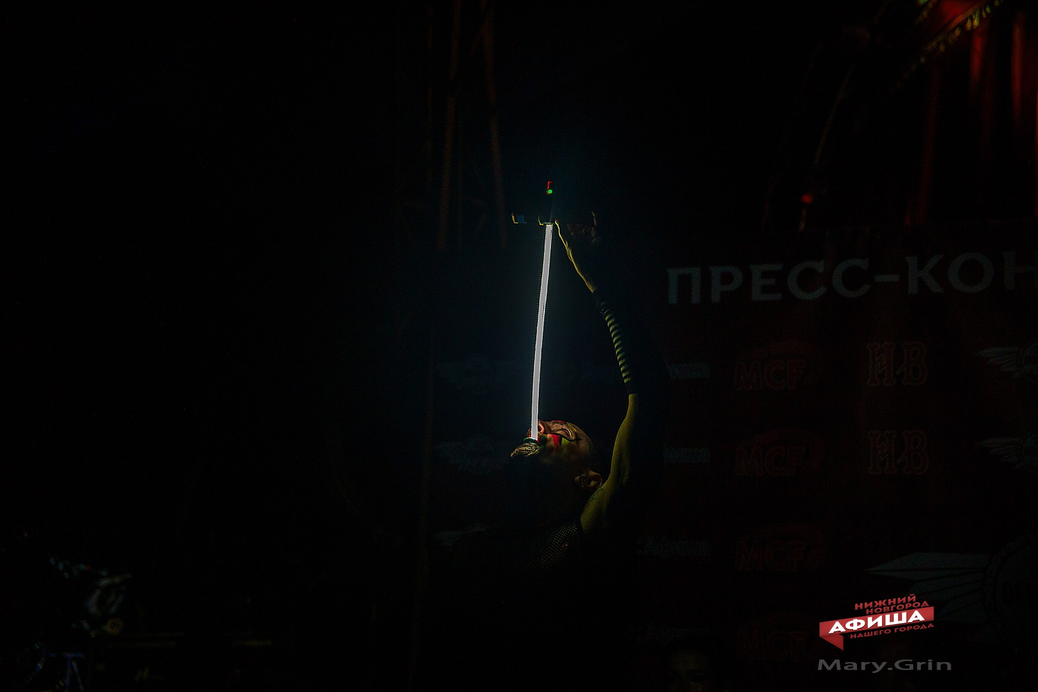 Пресс-конференция цирка Демидовых. Детский и семейный фотограф, фотограф мероприятий Нижний Новгород