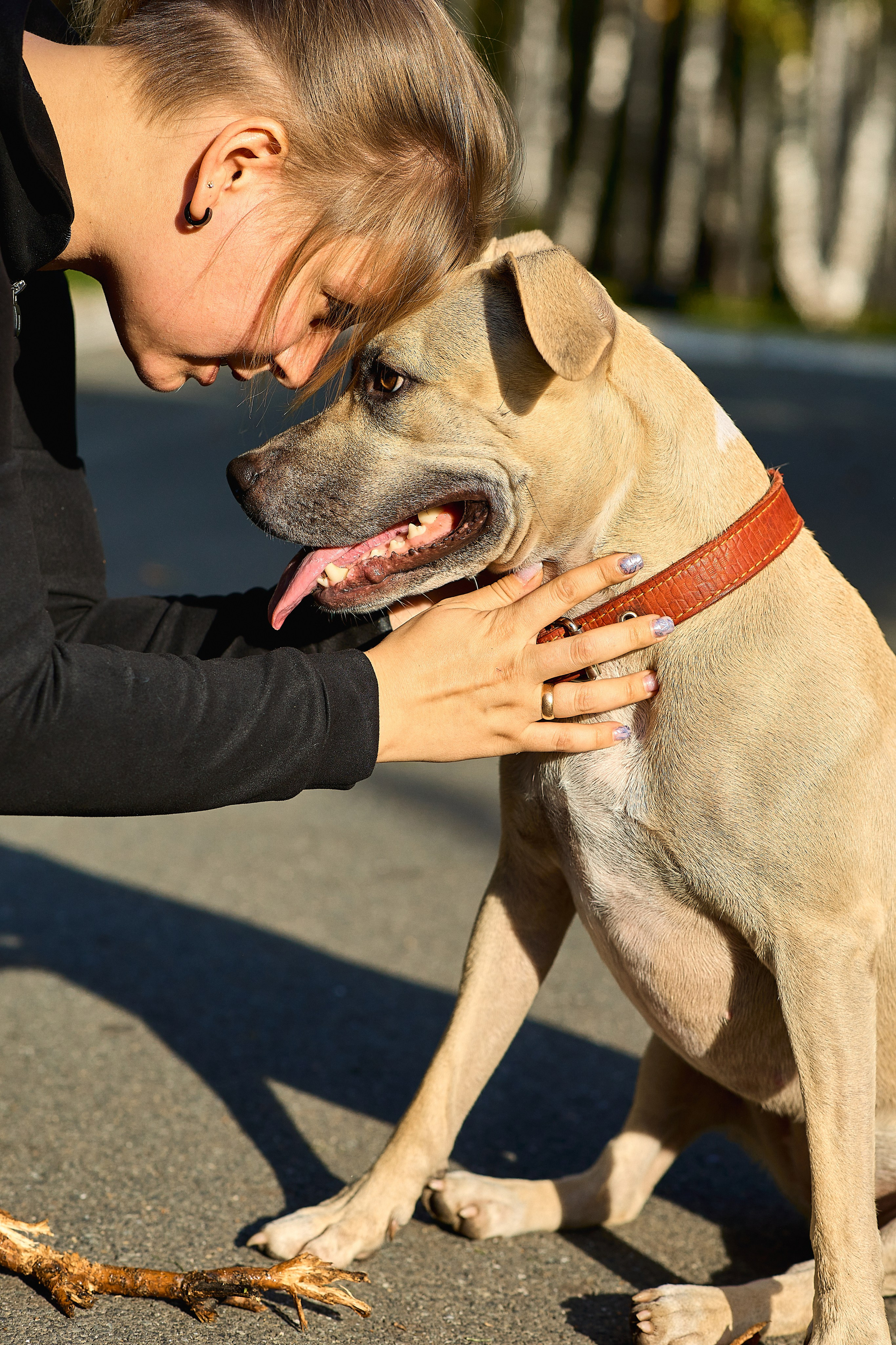 Умнейшая собака Зелла. Любовь Гальцова — свадебный, семейный, детский фотограф в городе Кемерово и Кемеровской области