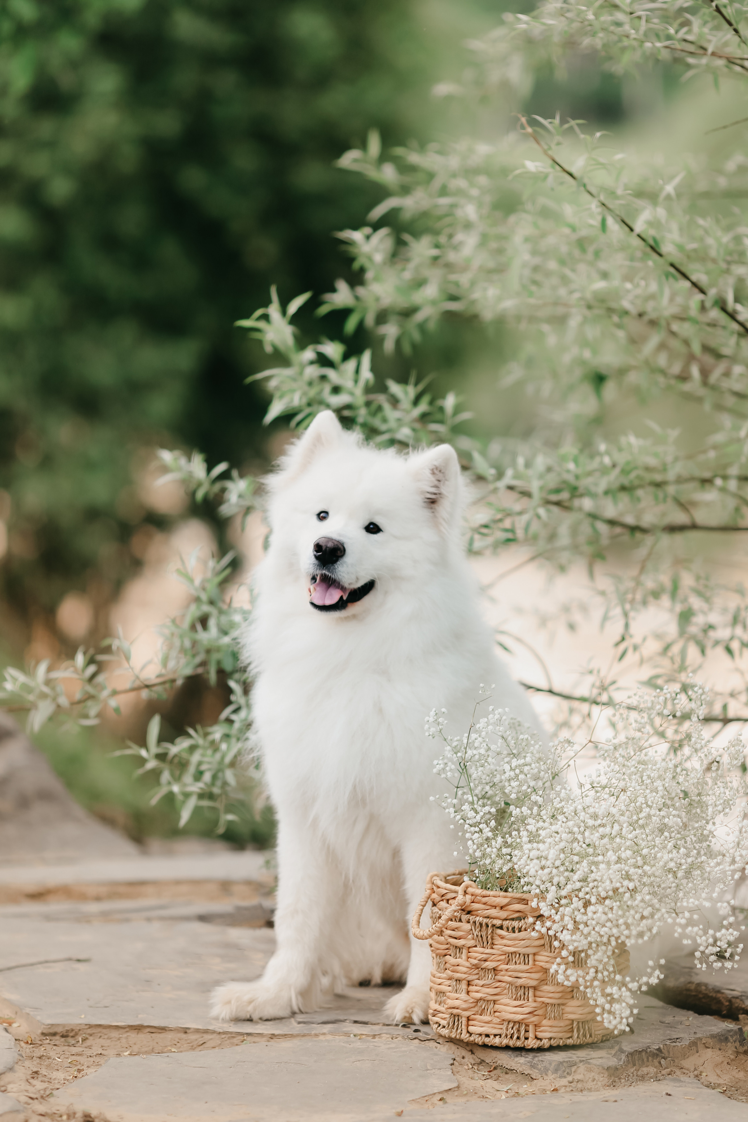 Анастасия и Дантес. Фотограф на Новой риге и в Москве Елена Елис