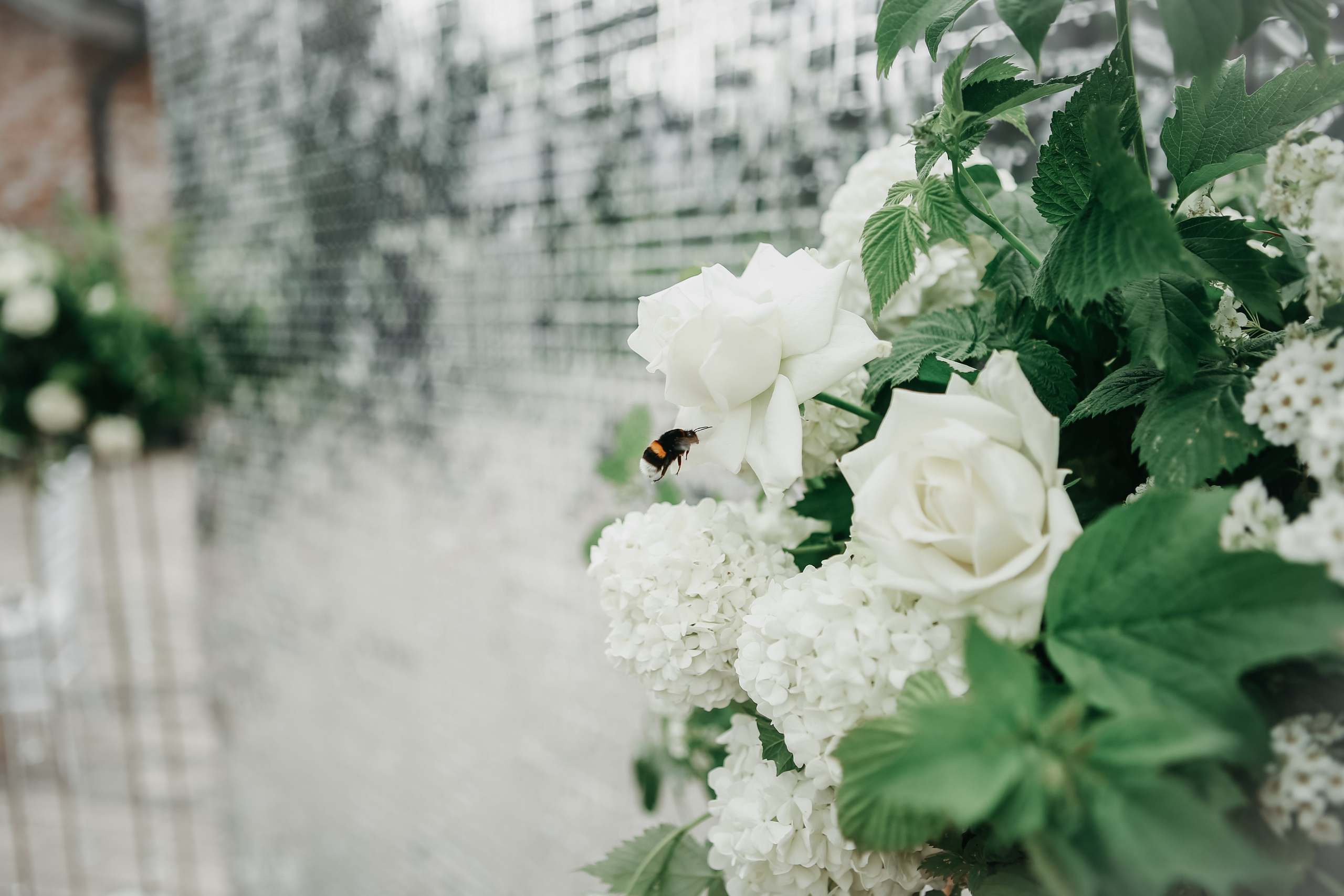 Свадьба Артура и Татьяны. Фотограф на Новой риге и в Москве Елена Елис