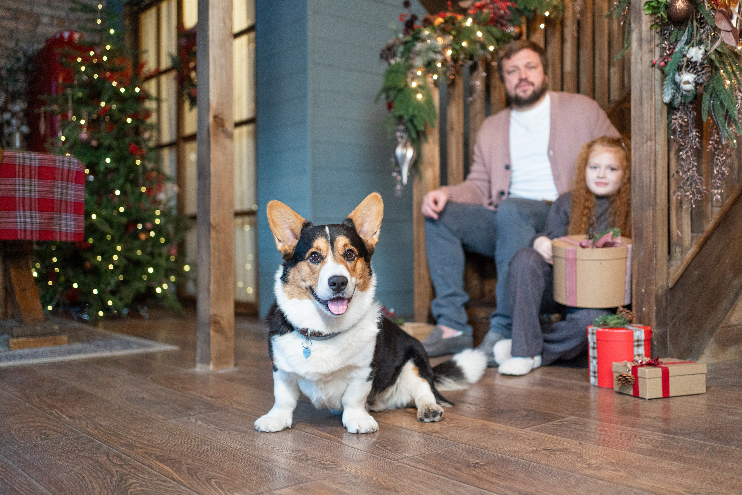 Новогоднее шале. Главная