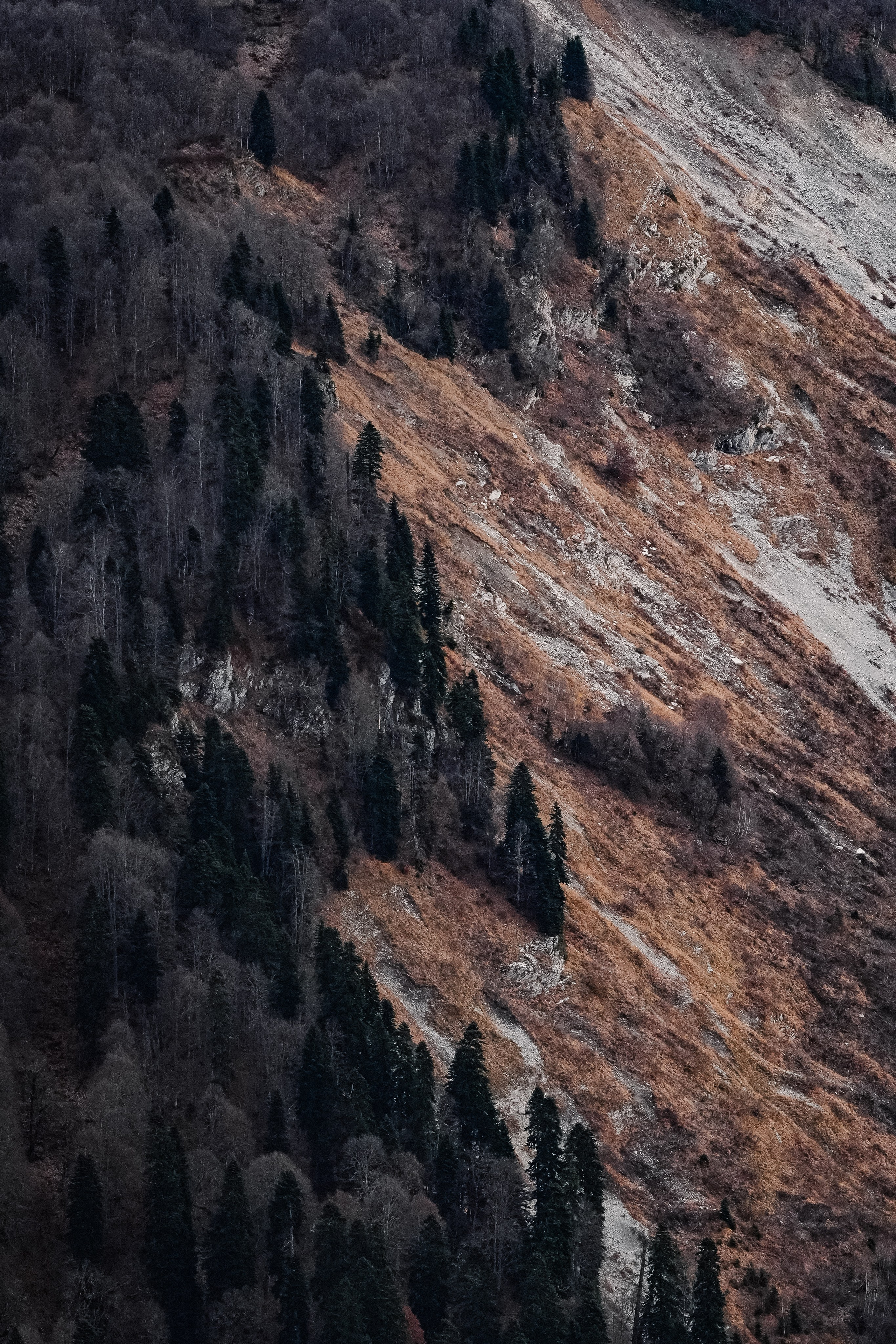 Роза Хутор ✽ Ноябрь. Репортажный фотограф | Роза Хутор Красная Поляна Сочи Сириус