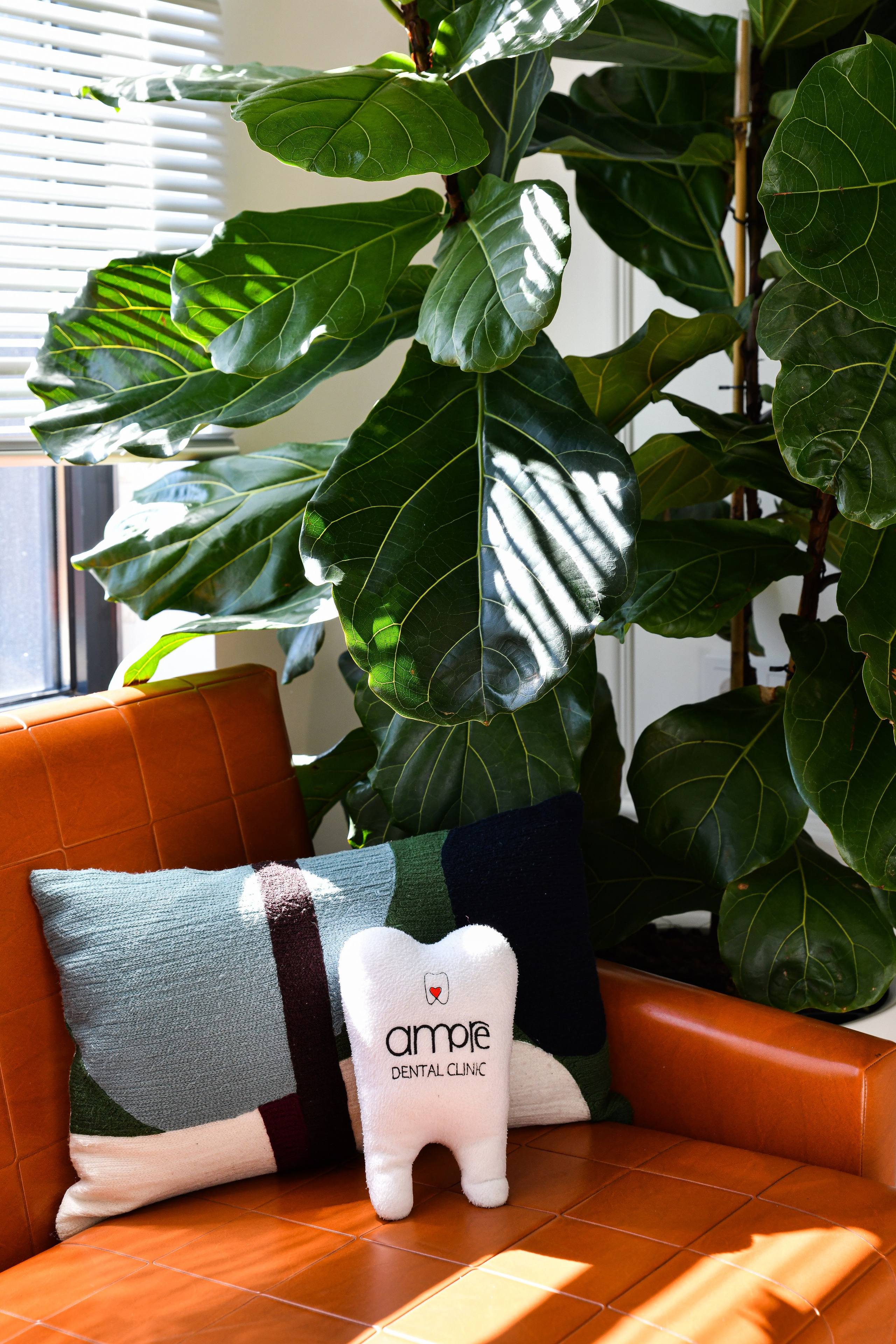 Стоматологическая клиника Amore. Фотограф в Санкт-Петербурге и Ленинградской области. Касаткина Ксения