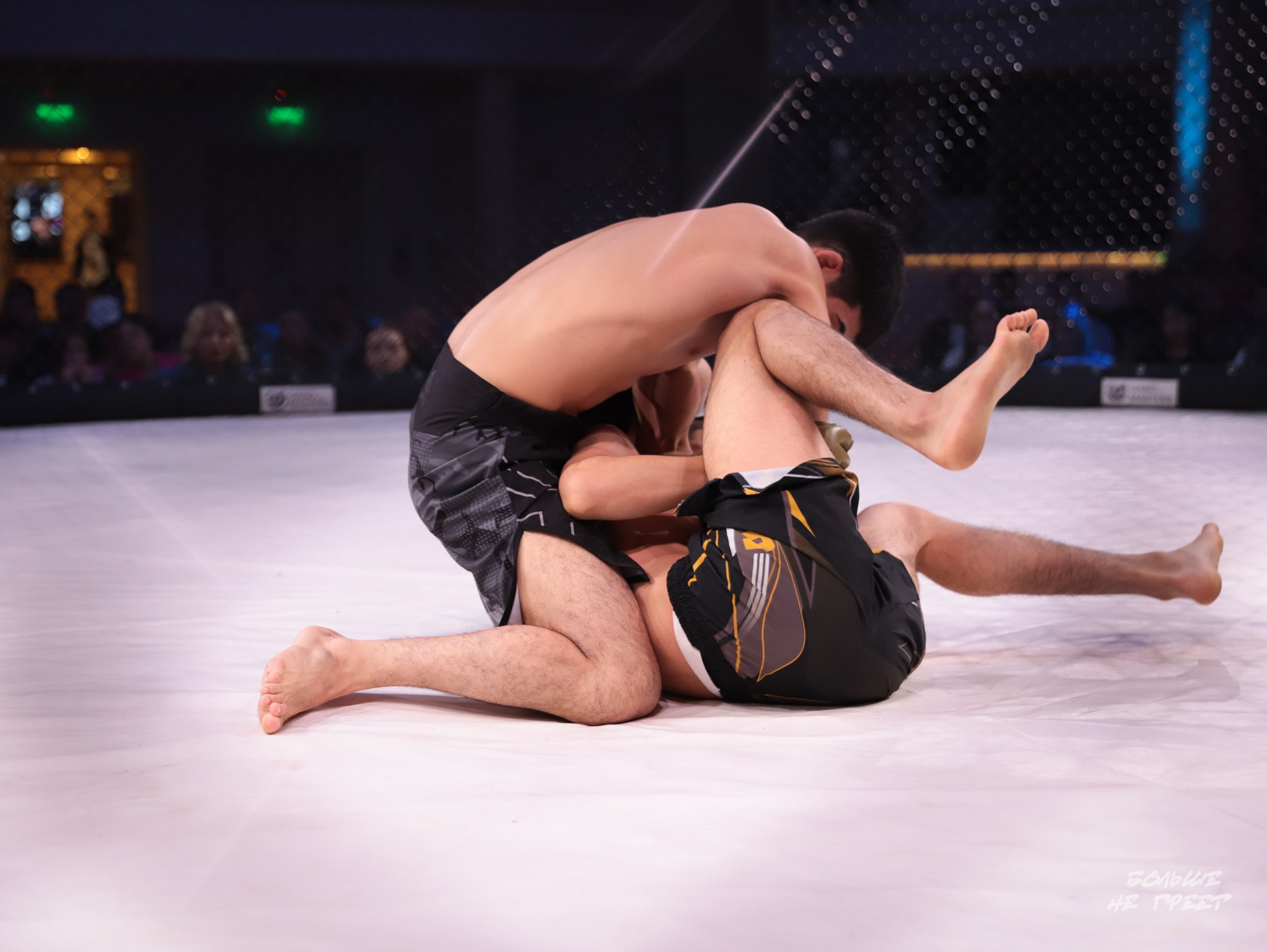 SABR FIGHTING. Больше не греет