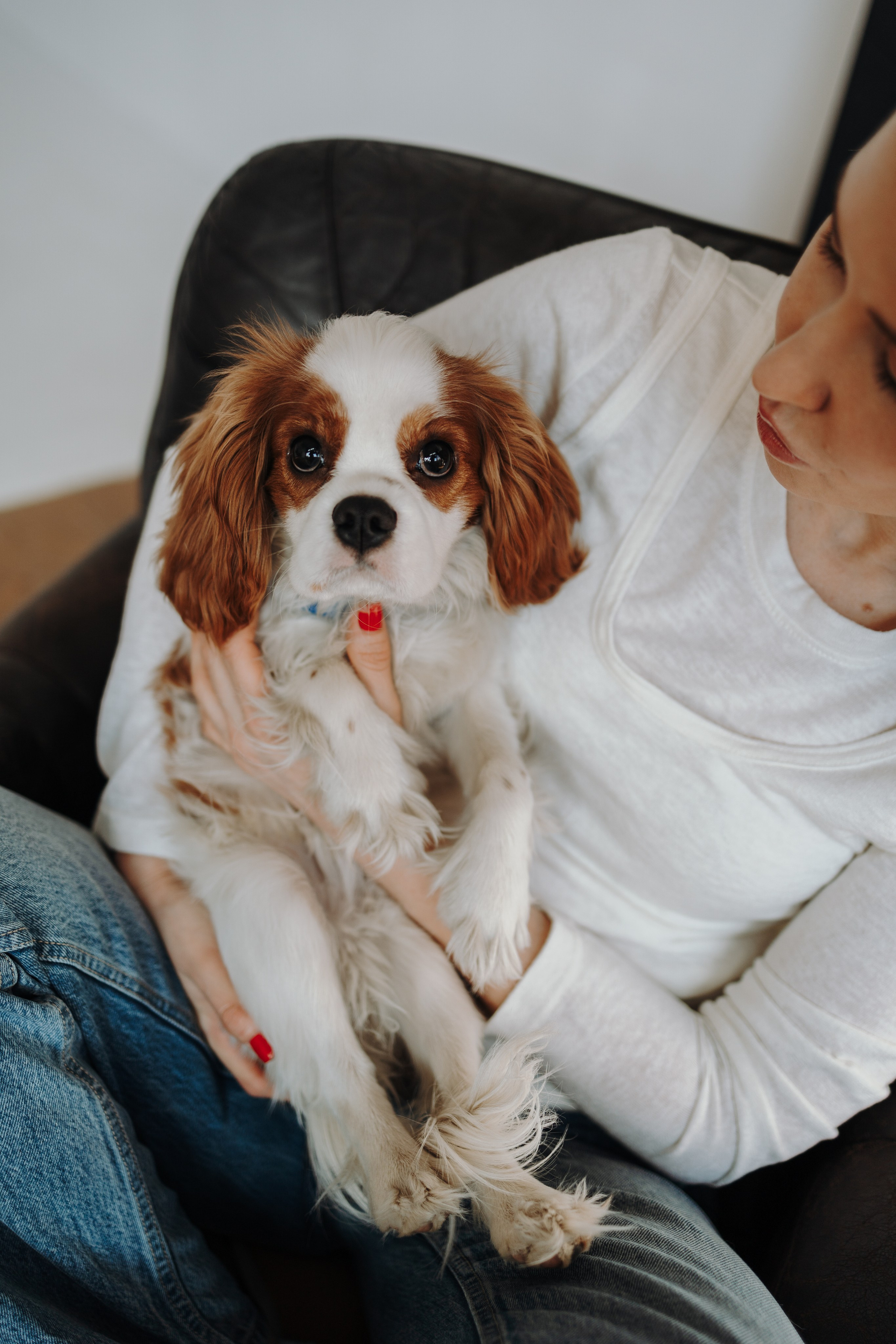 Плуто и его семья. Фотограф — Анималист | Санкт-Петербург