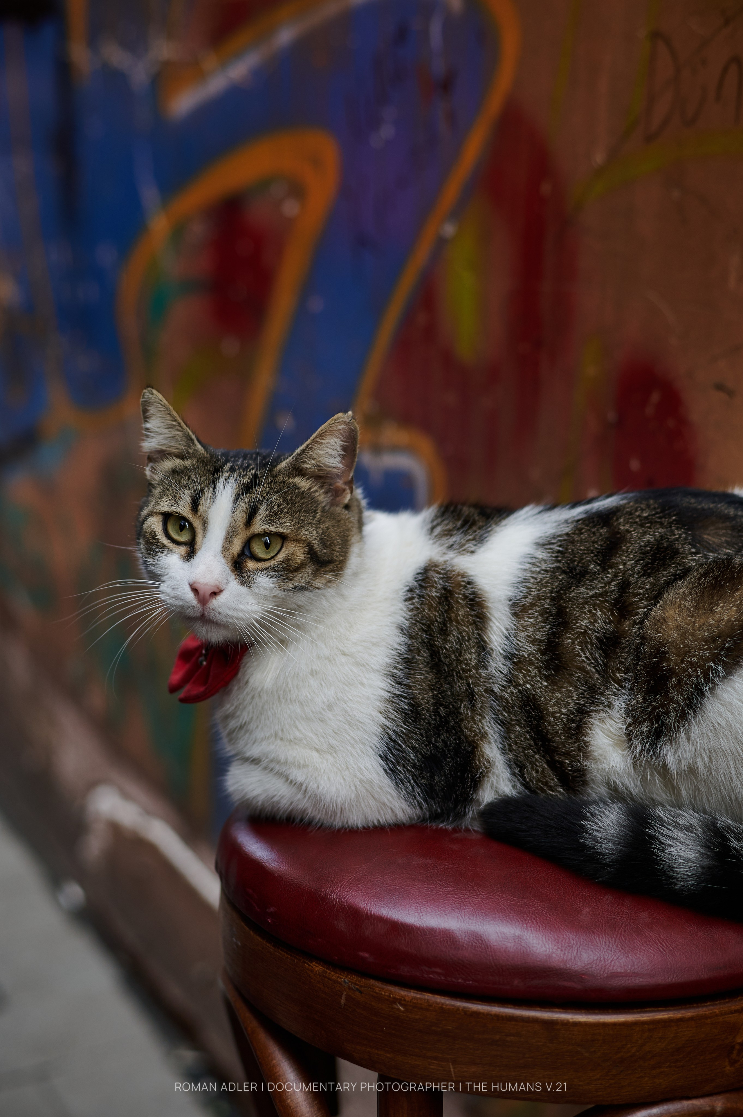 Istanbul Street Photography Festival (ISPF)