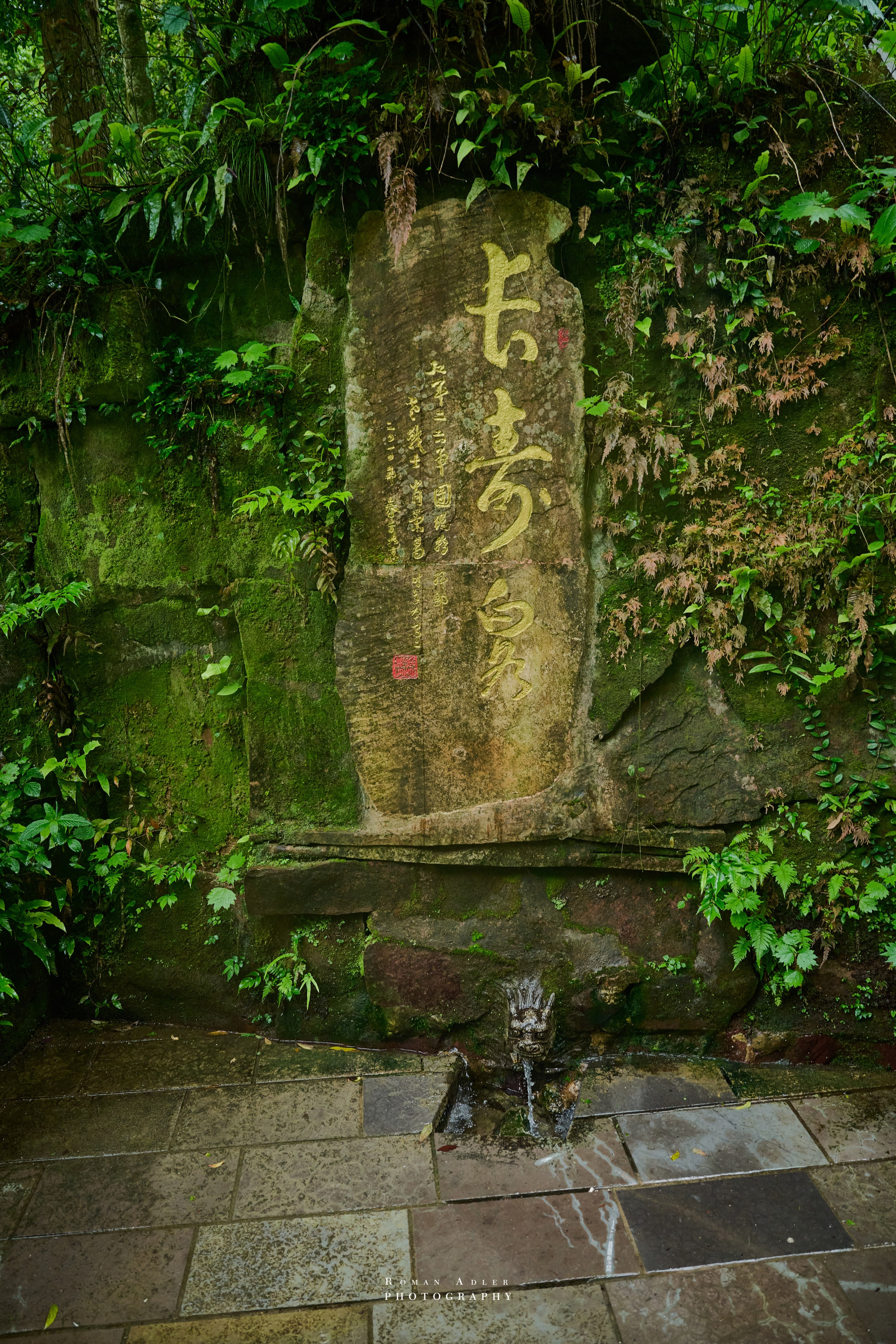 Zhangjiajie. Here, the sky seems to descend to the earth