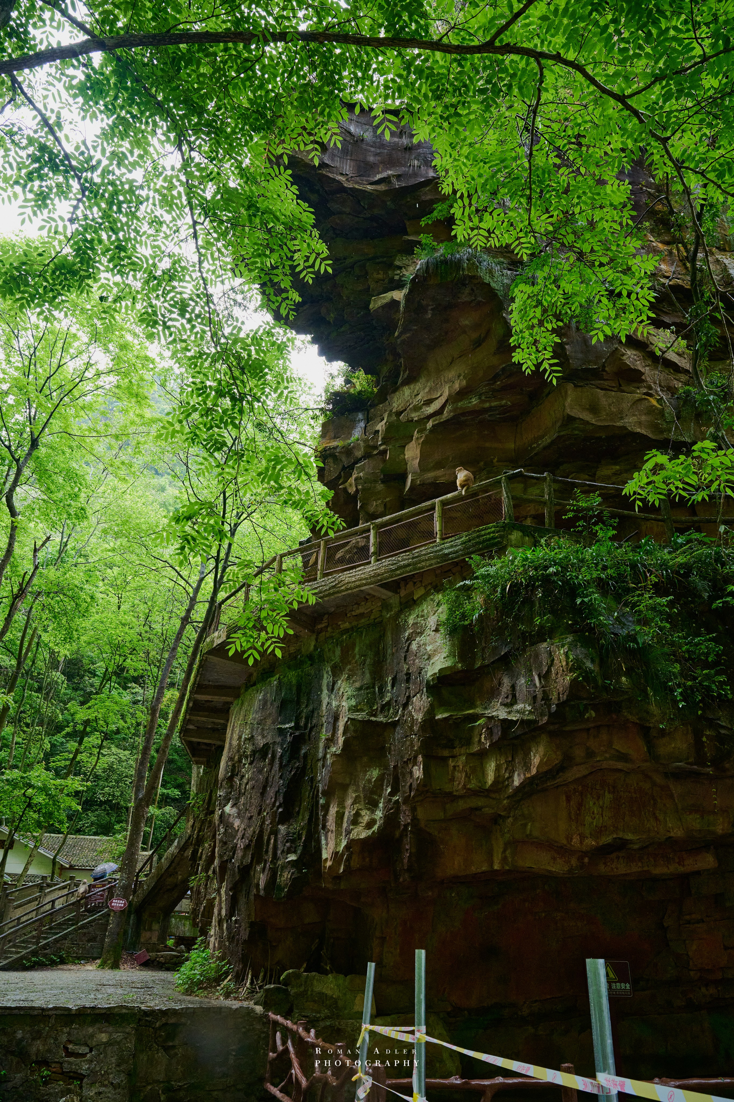 Zhangjiajie. Here, the sky seems to descend to the earth