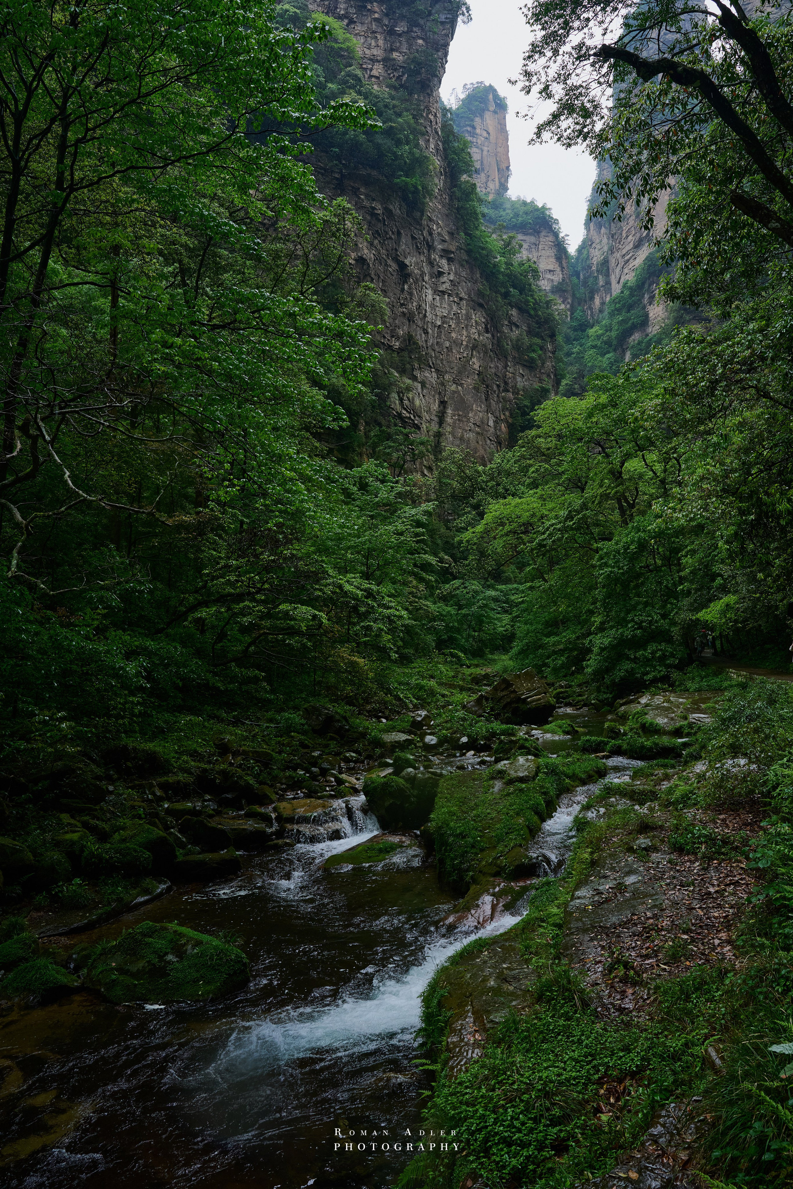 Zhangjiajie. Here, the sky seems to descend to the earth