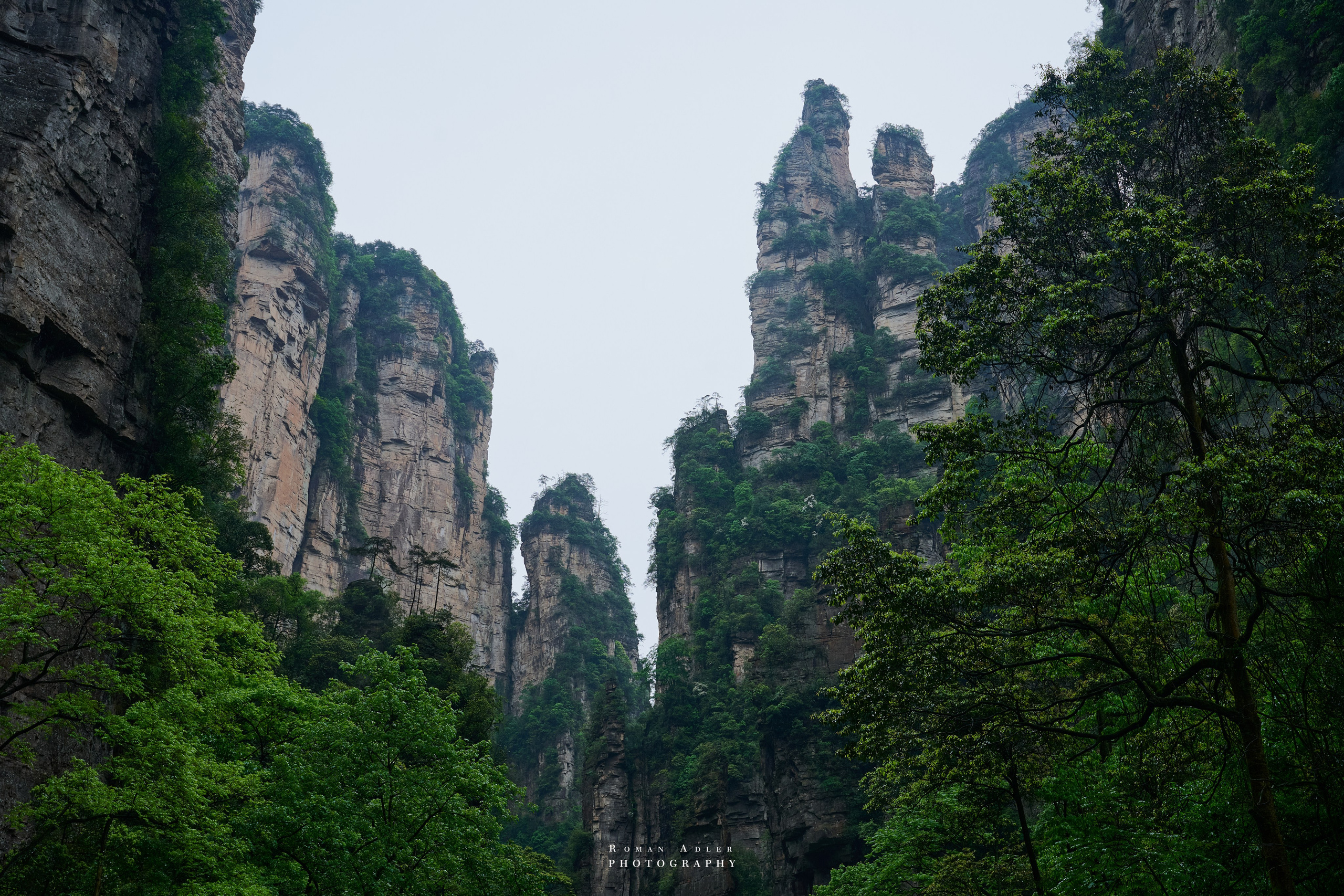 Zhangjiajie. Here, the sky seems to descend to the earth