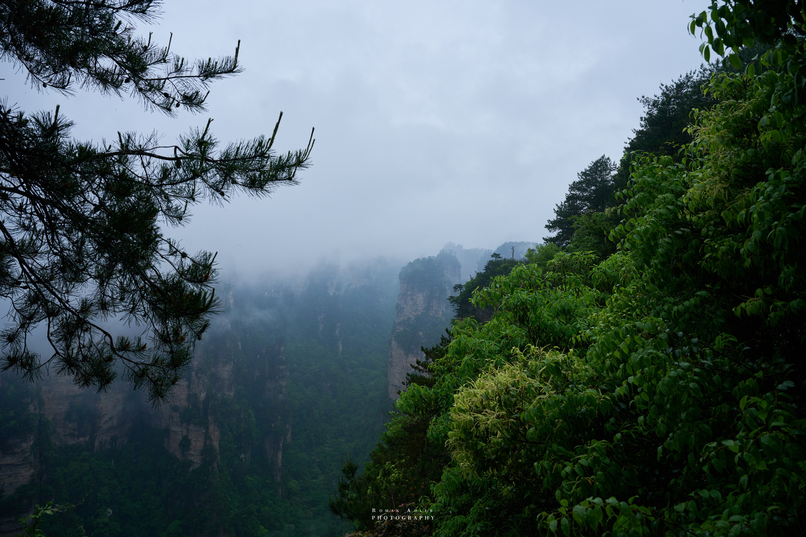Zhangjiajie. Here, the sky seems to descend to the earth