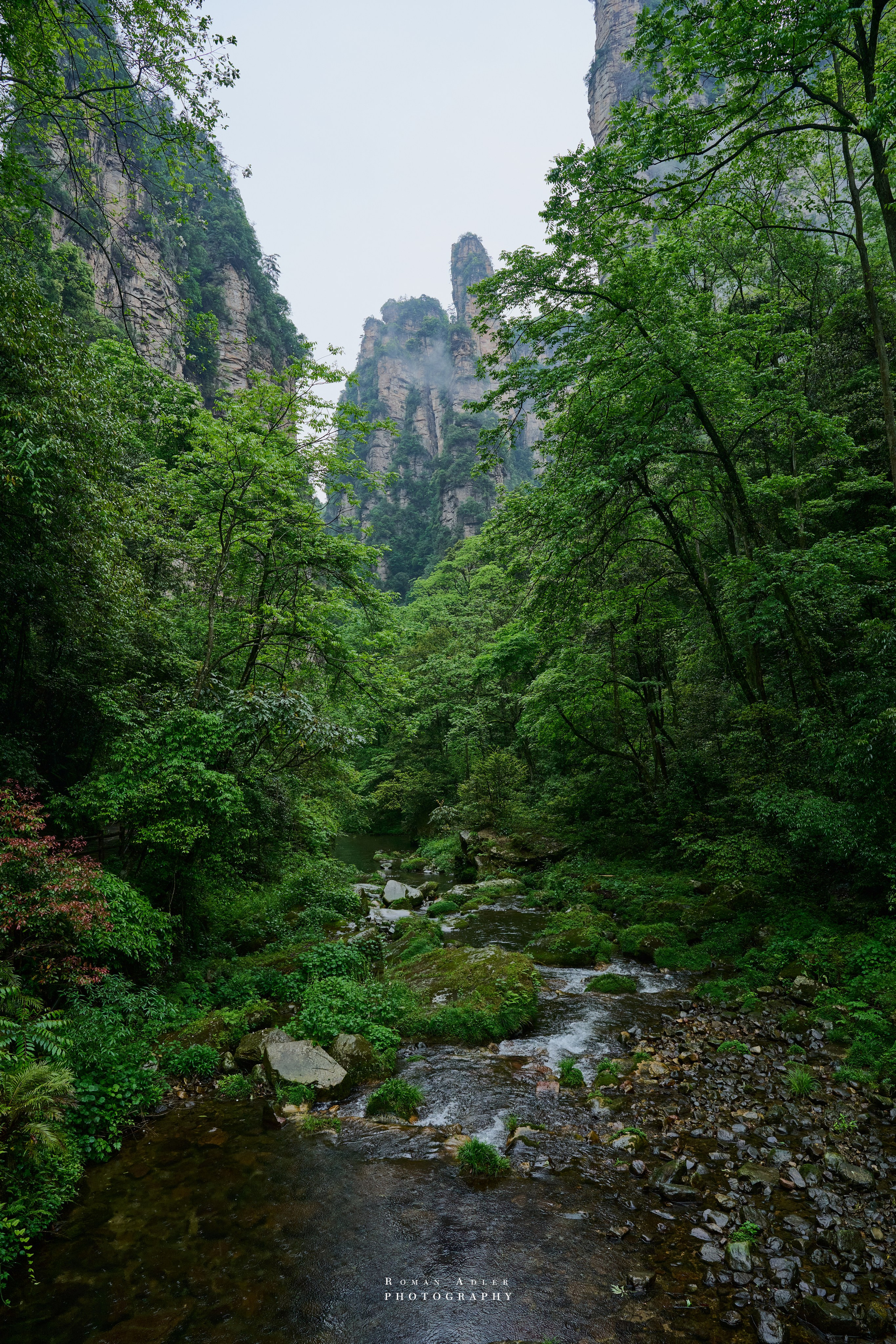 Zhangjiajie. Here, the sky seems to descend to the earth