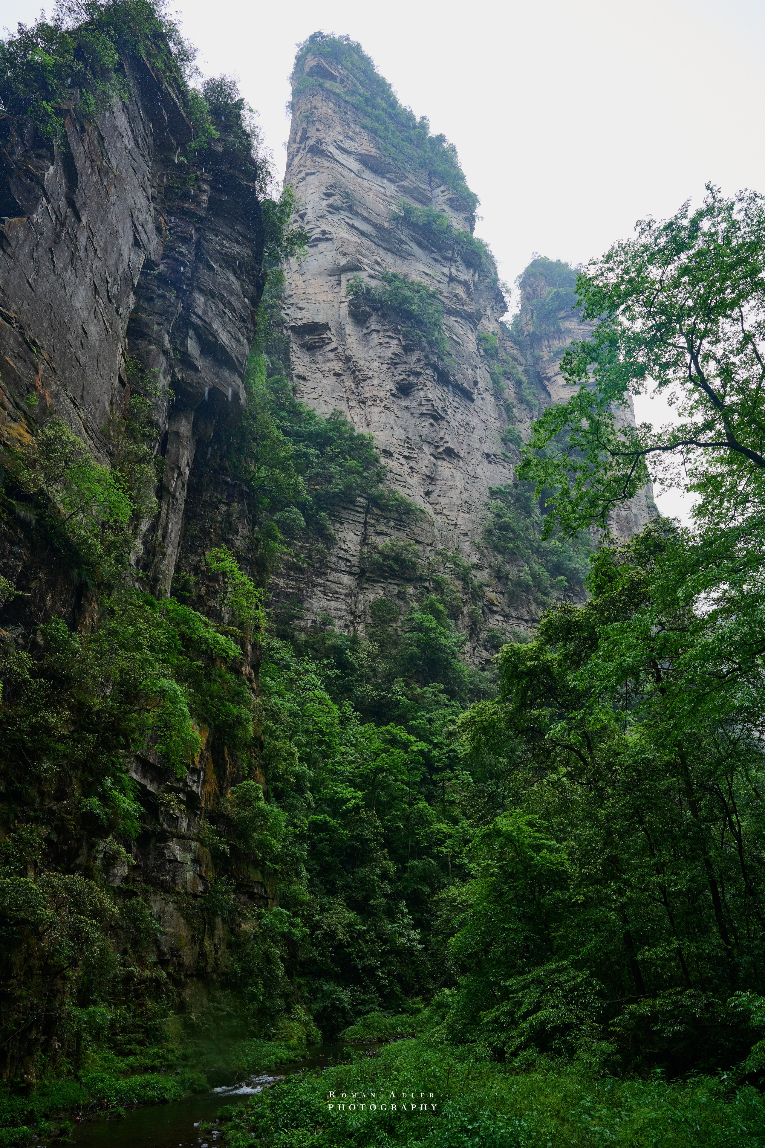 Zhangjiajie. Here, the sky seems to descend to the earth