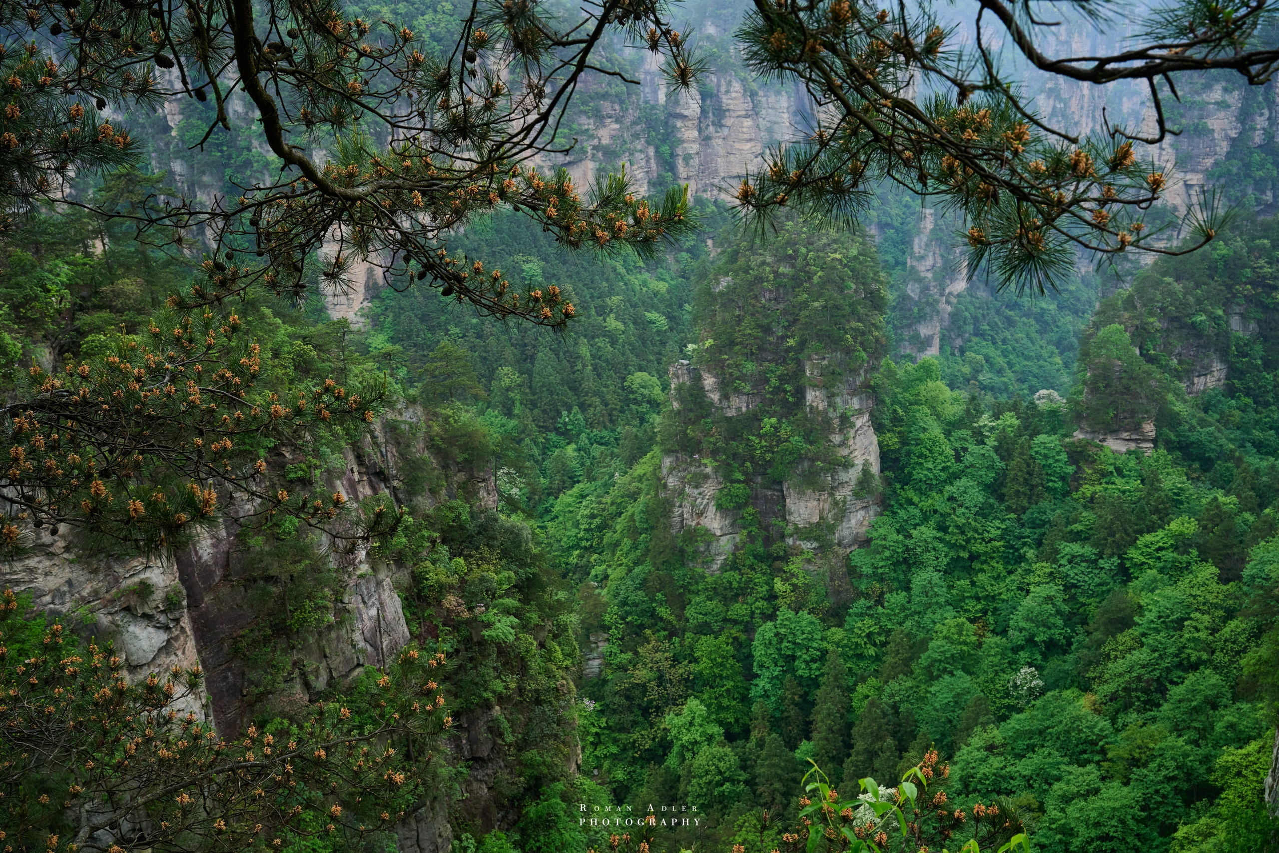Zhangjiajie. Here, the sky seems to descend to the earth