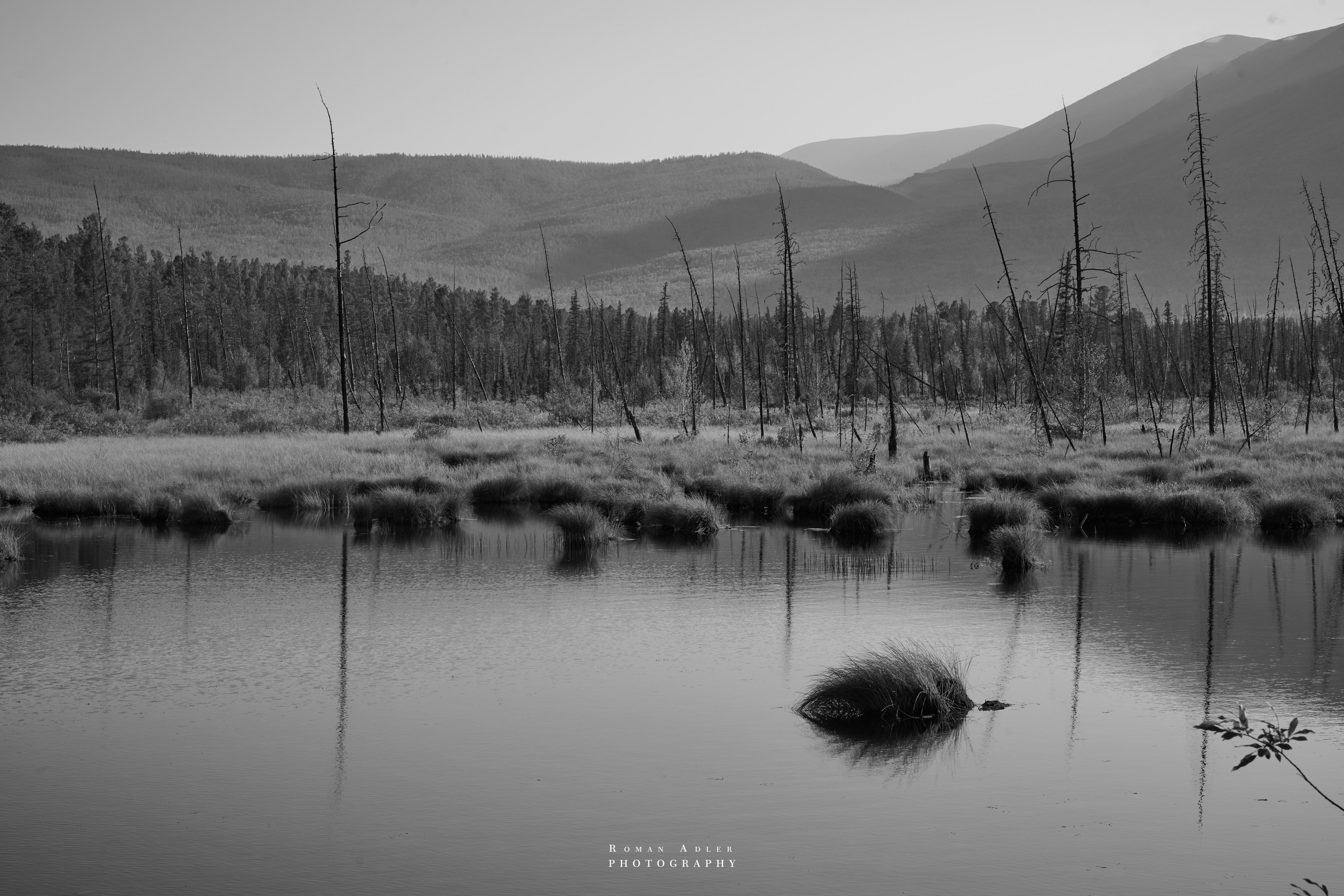 Северобайкальск. Август 2026. Photographer Roman Adler