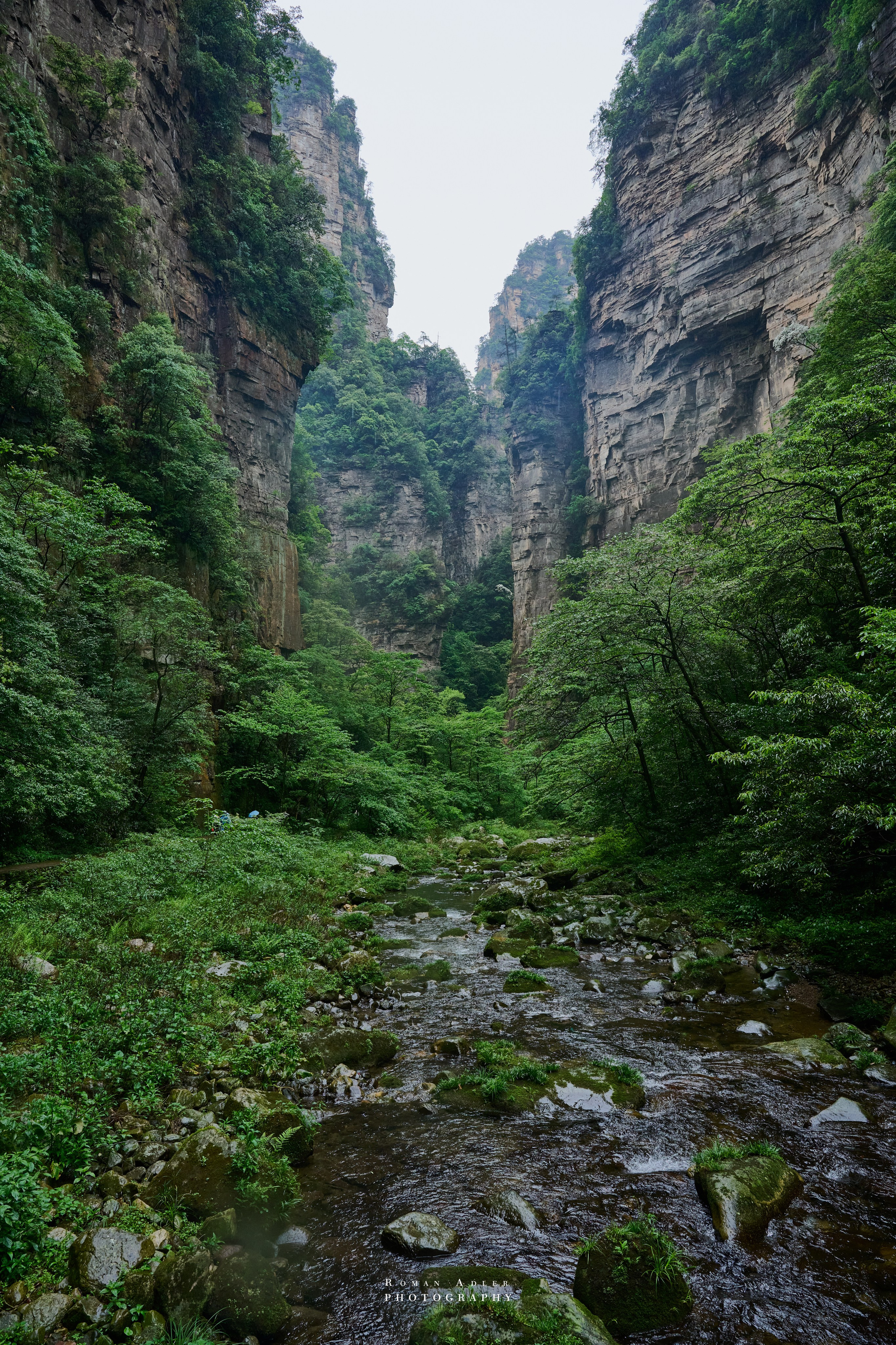 Zhangjiajie. Here, the sky seems to descend to the earth