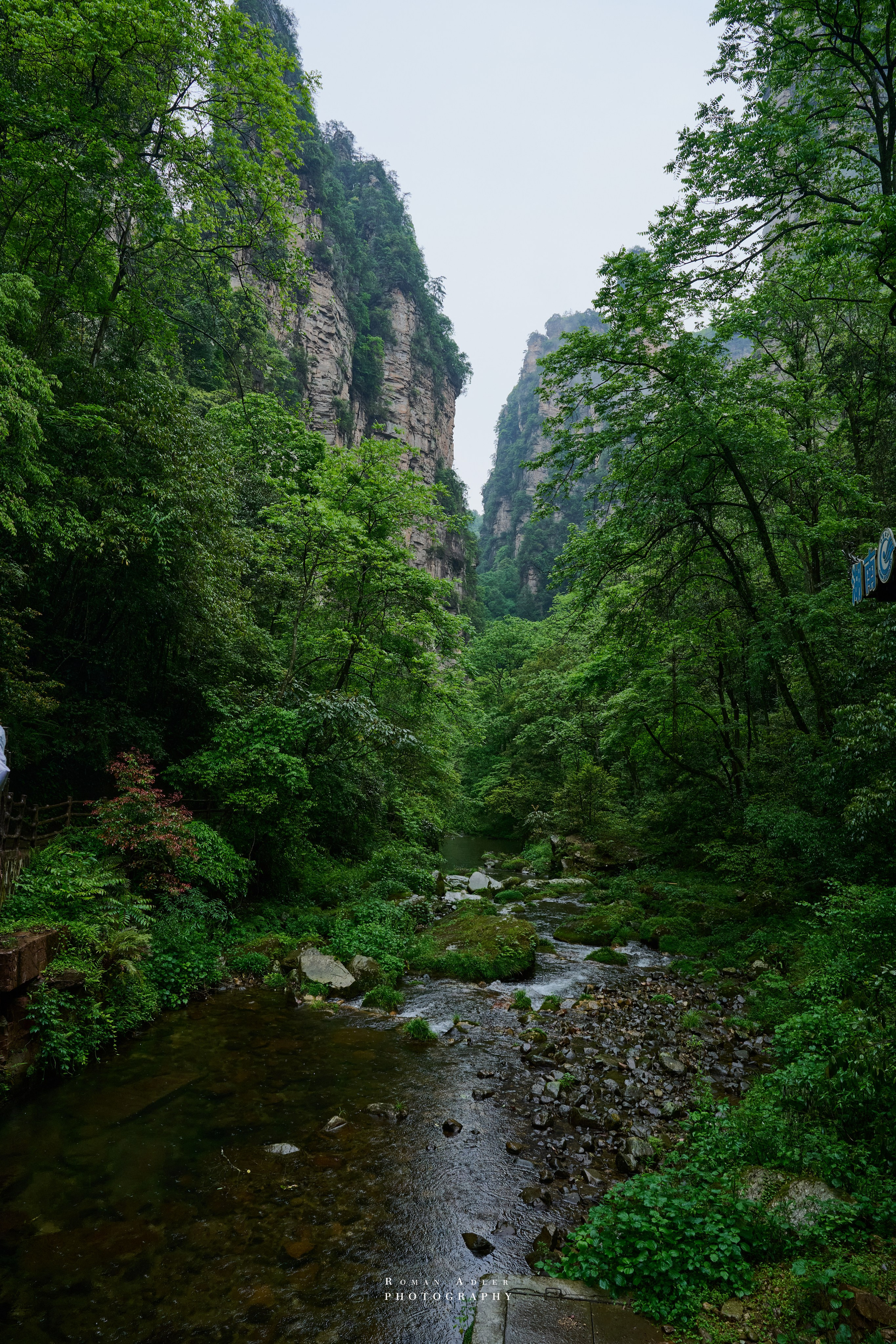 Zhangjiajie. Here, the sky seems to descend to the earth