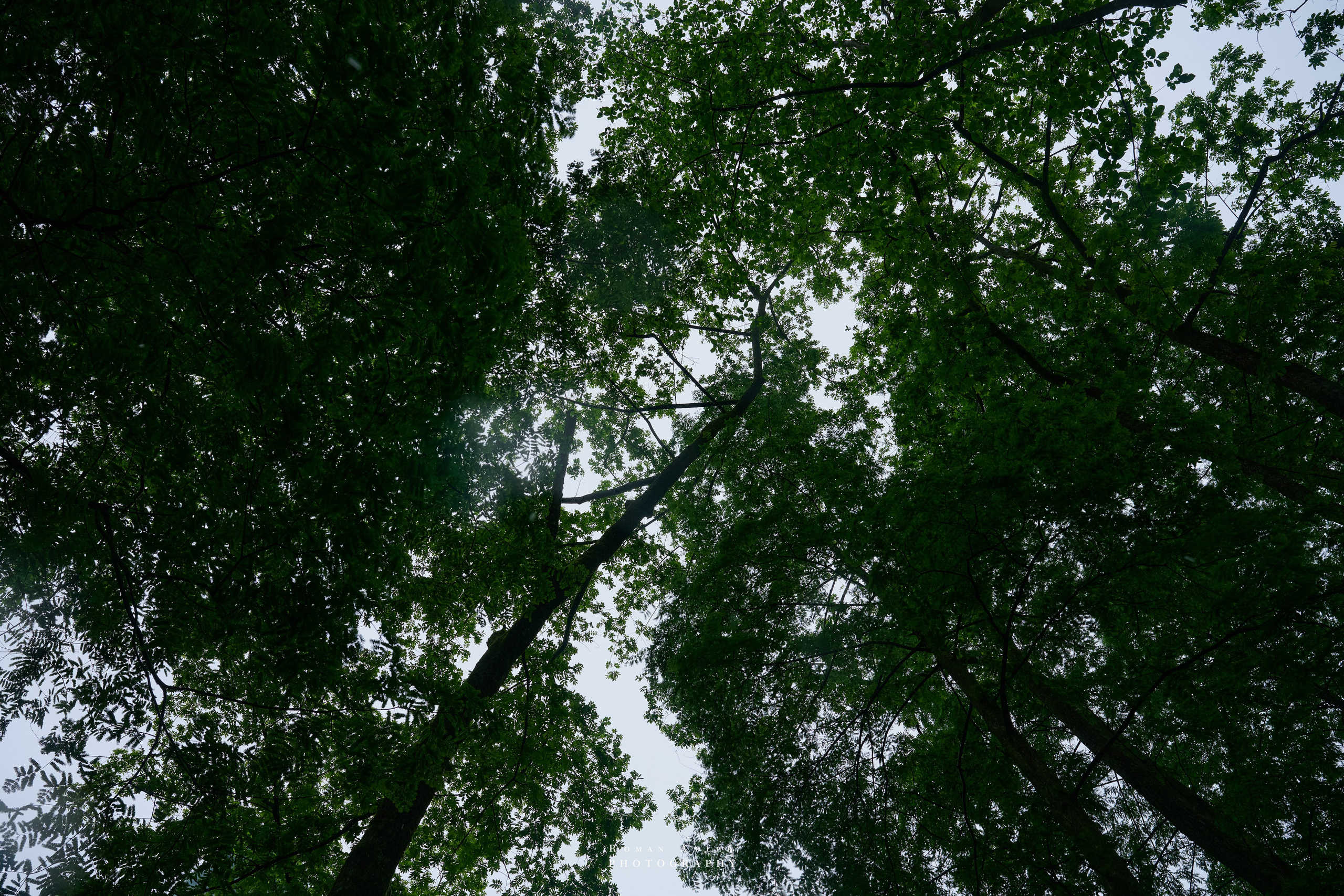 Zhangjiajie. Here, the sky seems to descend to the earth